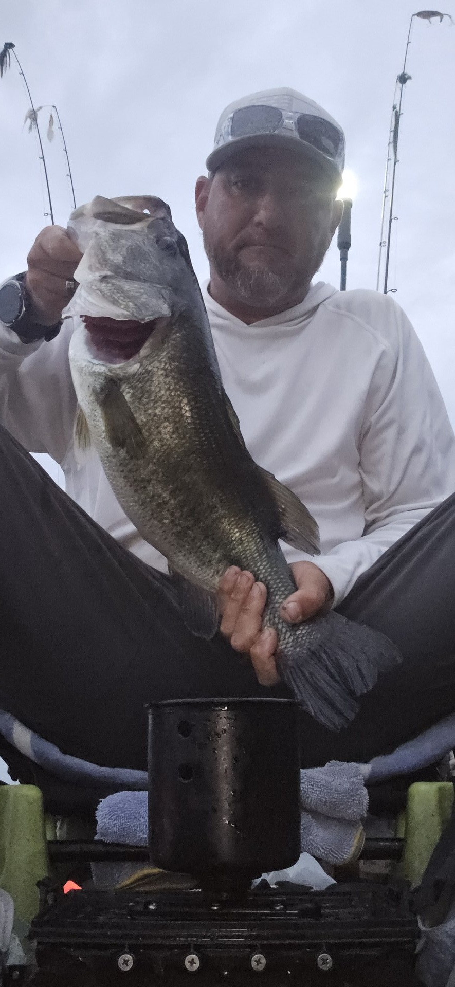 Largemouth Bass