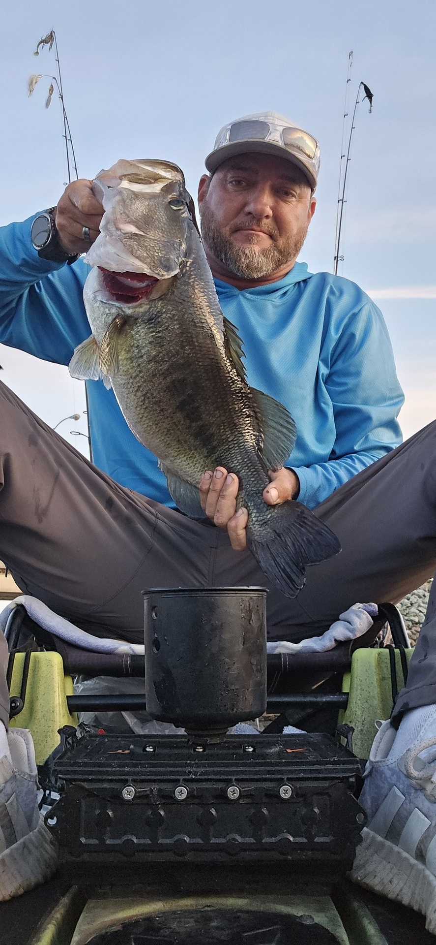 Largemouth Bass