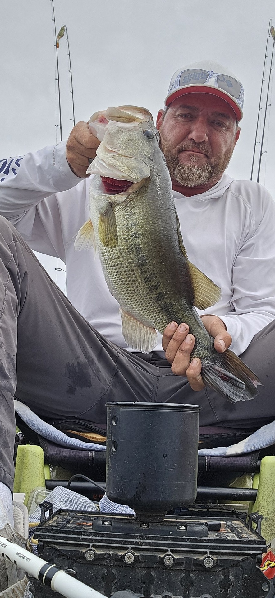 Largemouth Bass