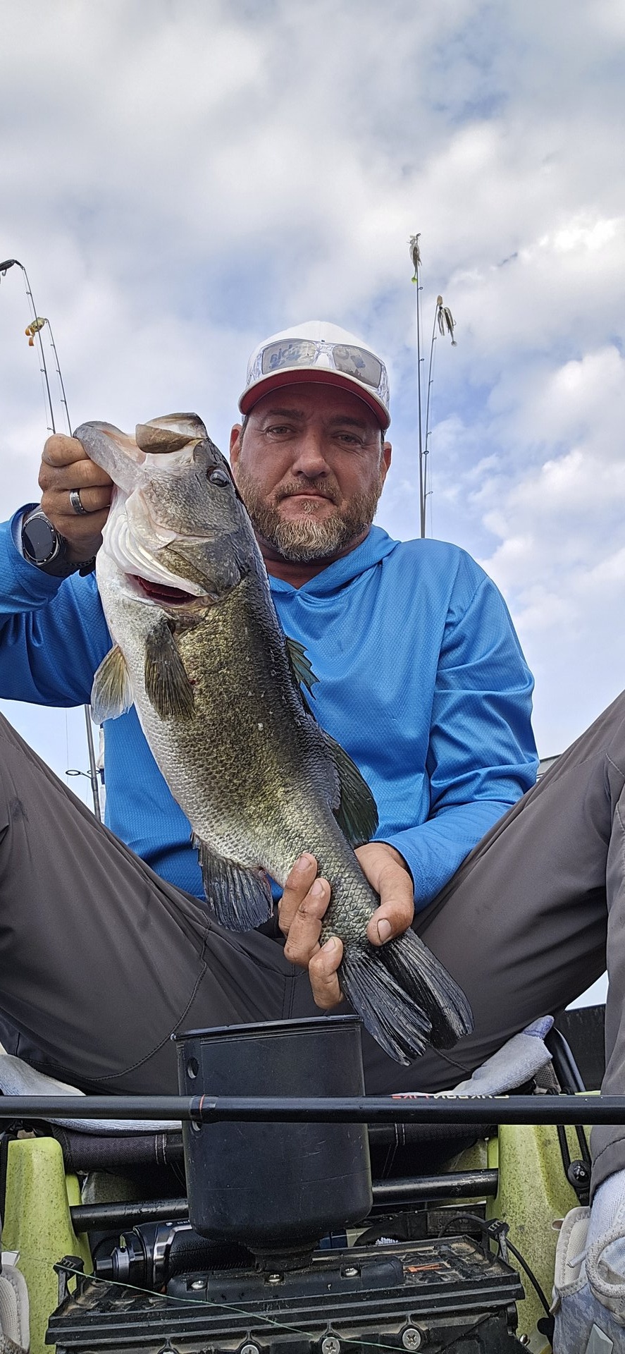 Largemouth Bass