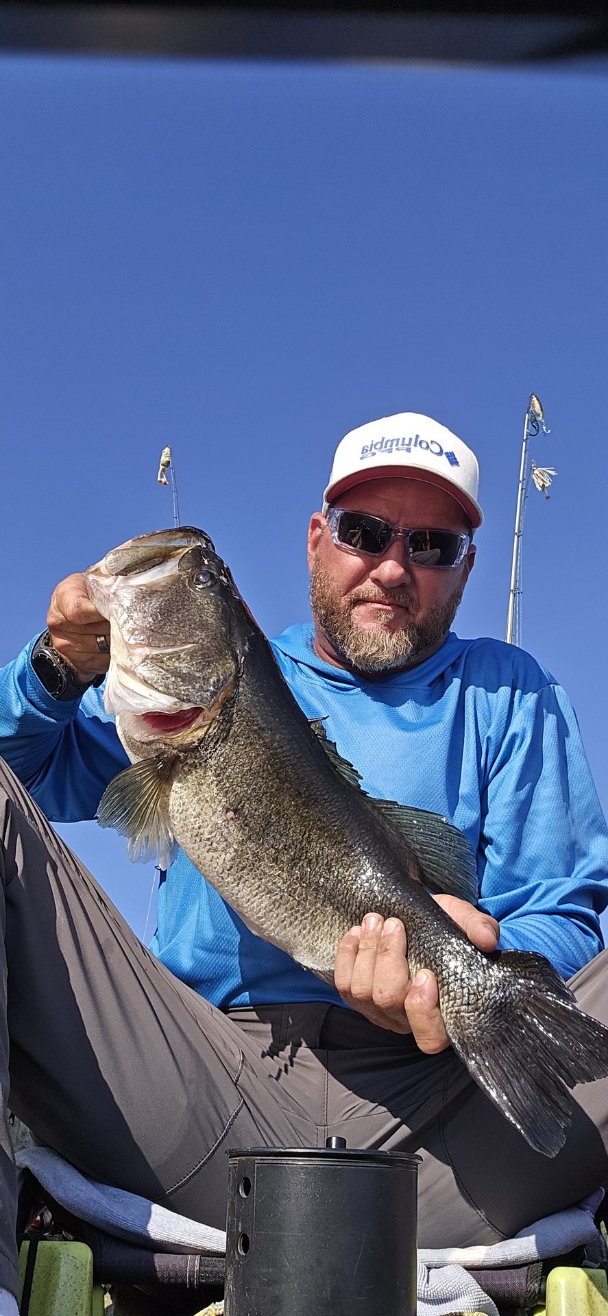 Largemouth Bass