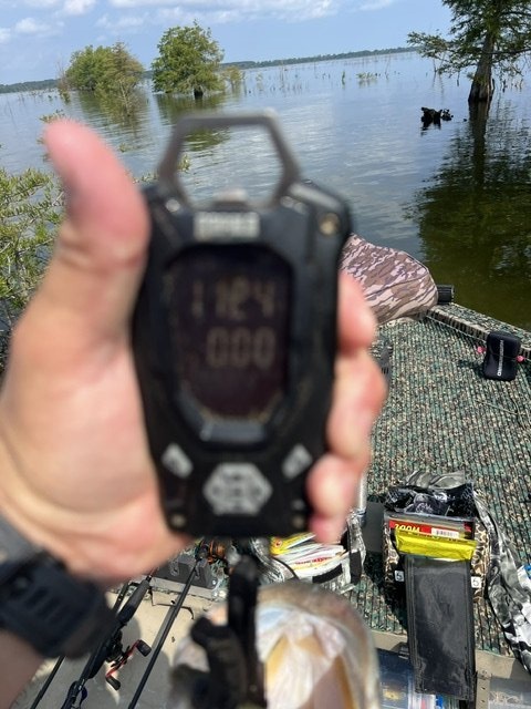 Largemouth Bass catch photo 2
