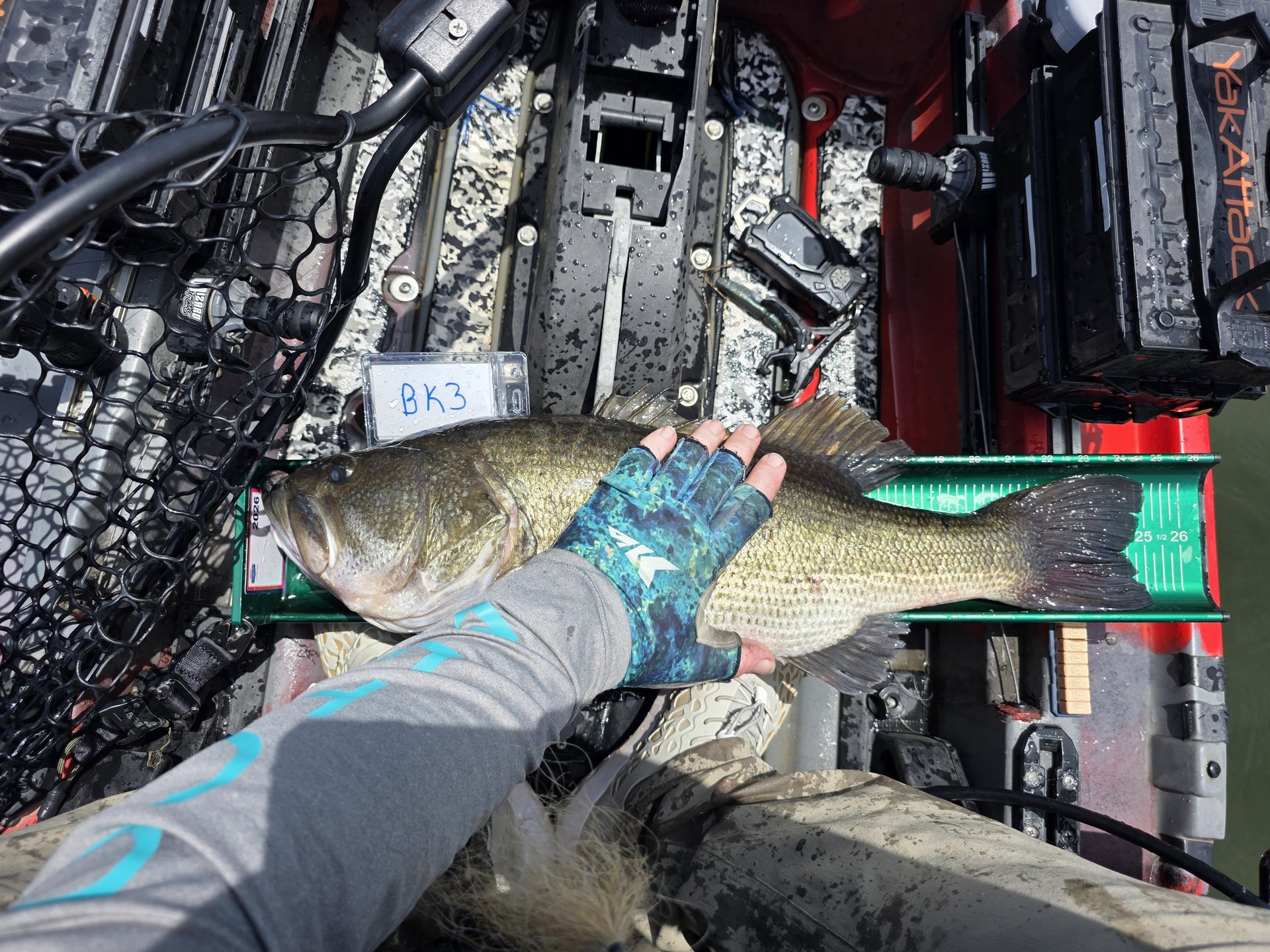 Largemouth Bass catch photo 5