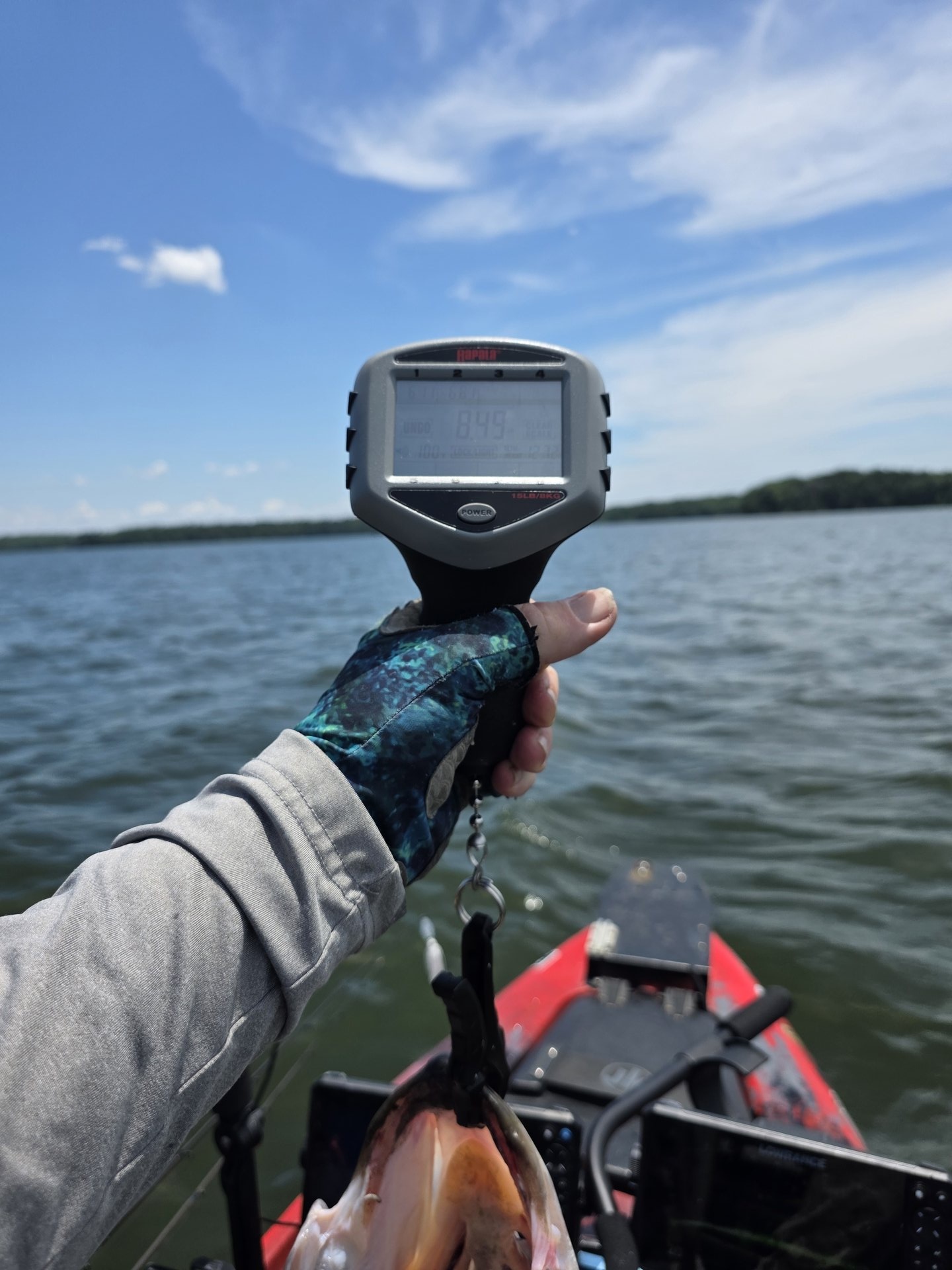 Largemouth Bass catch photo 4