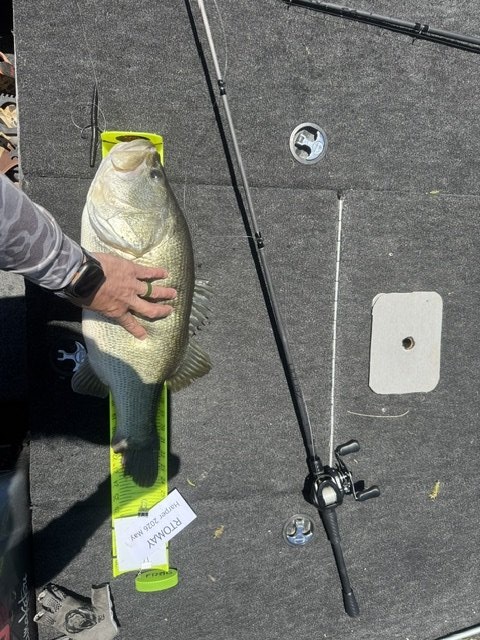 Largemouth Bass catch photo 2