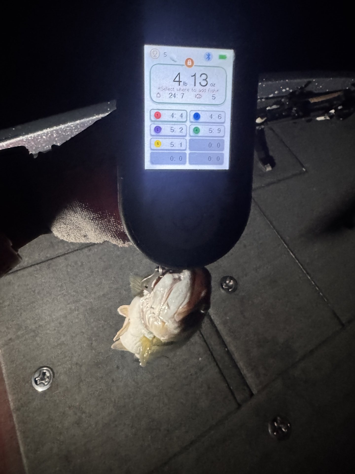 Largemouth Bass catch photo 2
