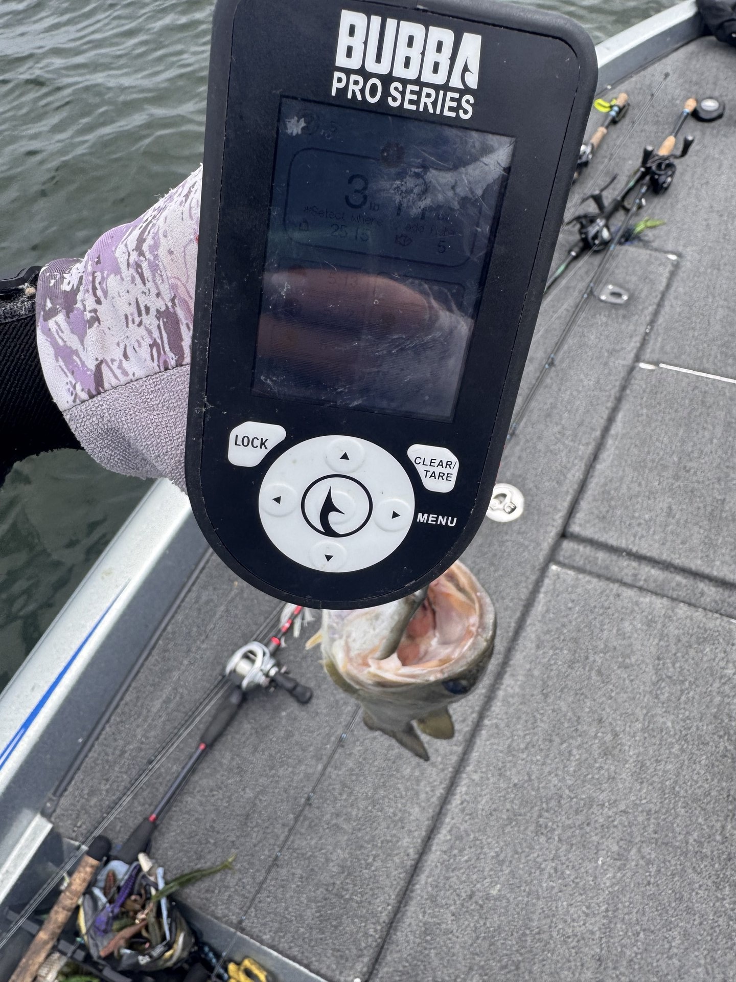 Largemouth Bass catch photo 2