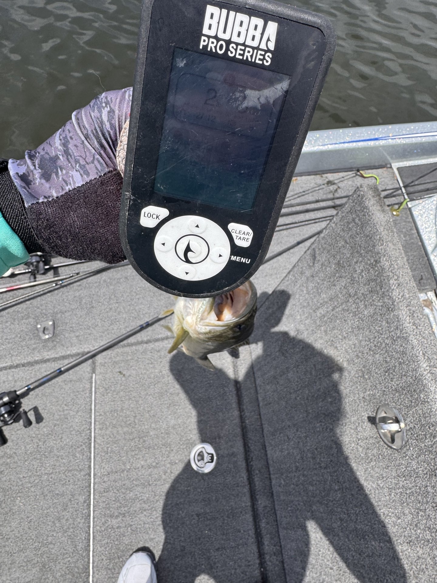 Largemouth Bass catch photo 2