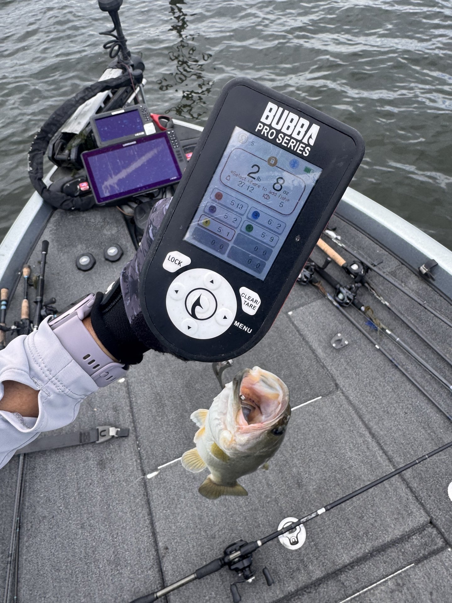 Largemouth Bass catch photo 2