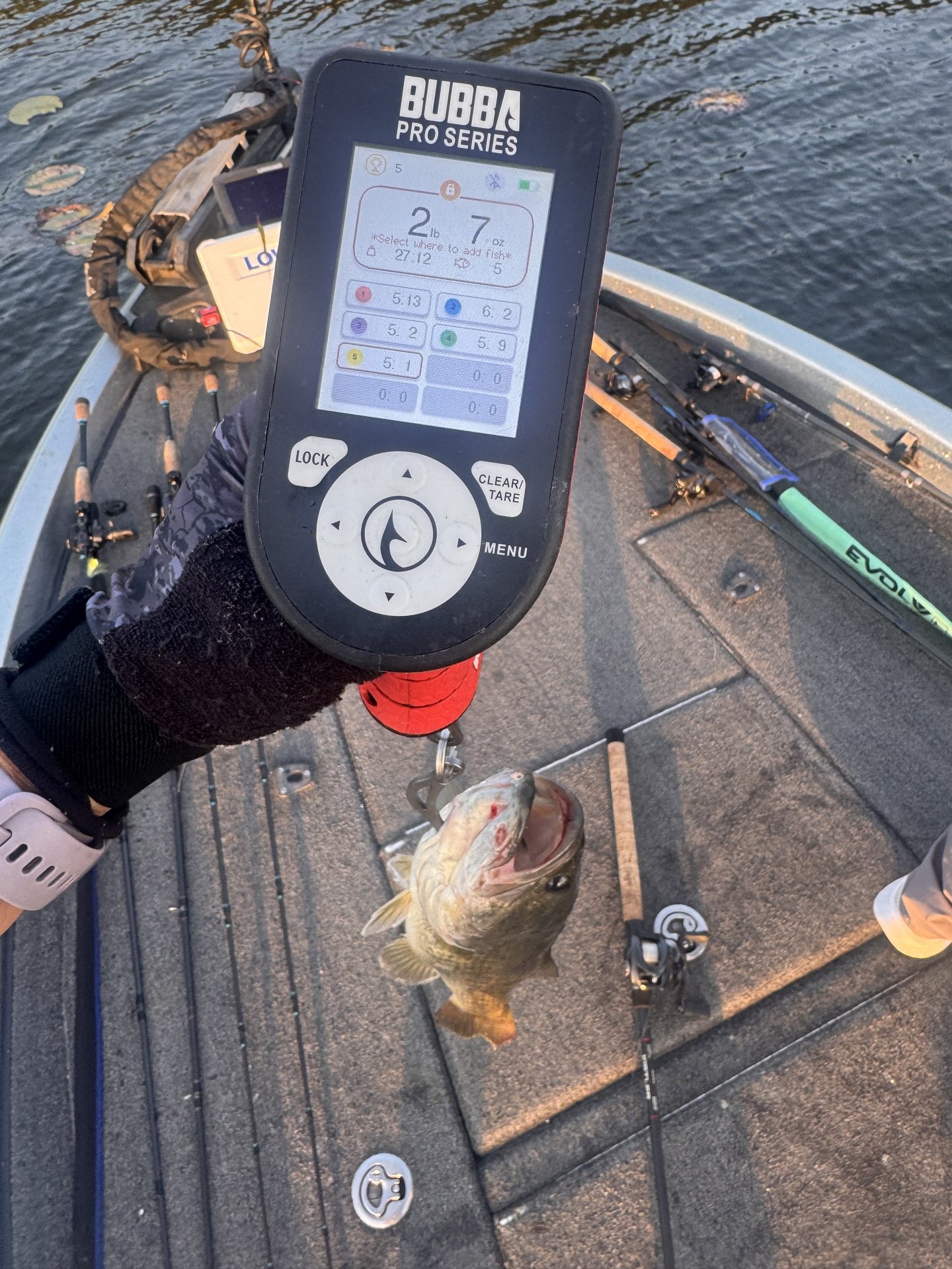 Largemouth Bass catch photo 2
