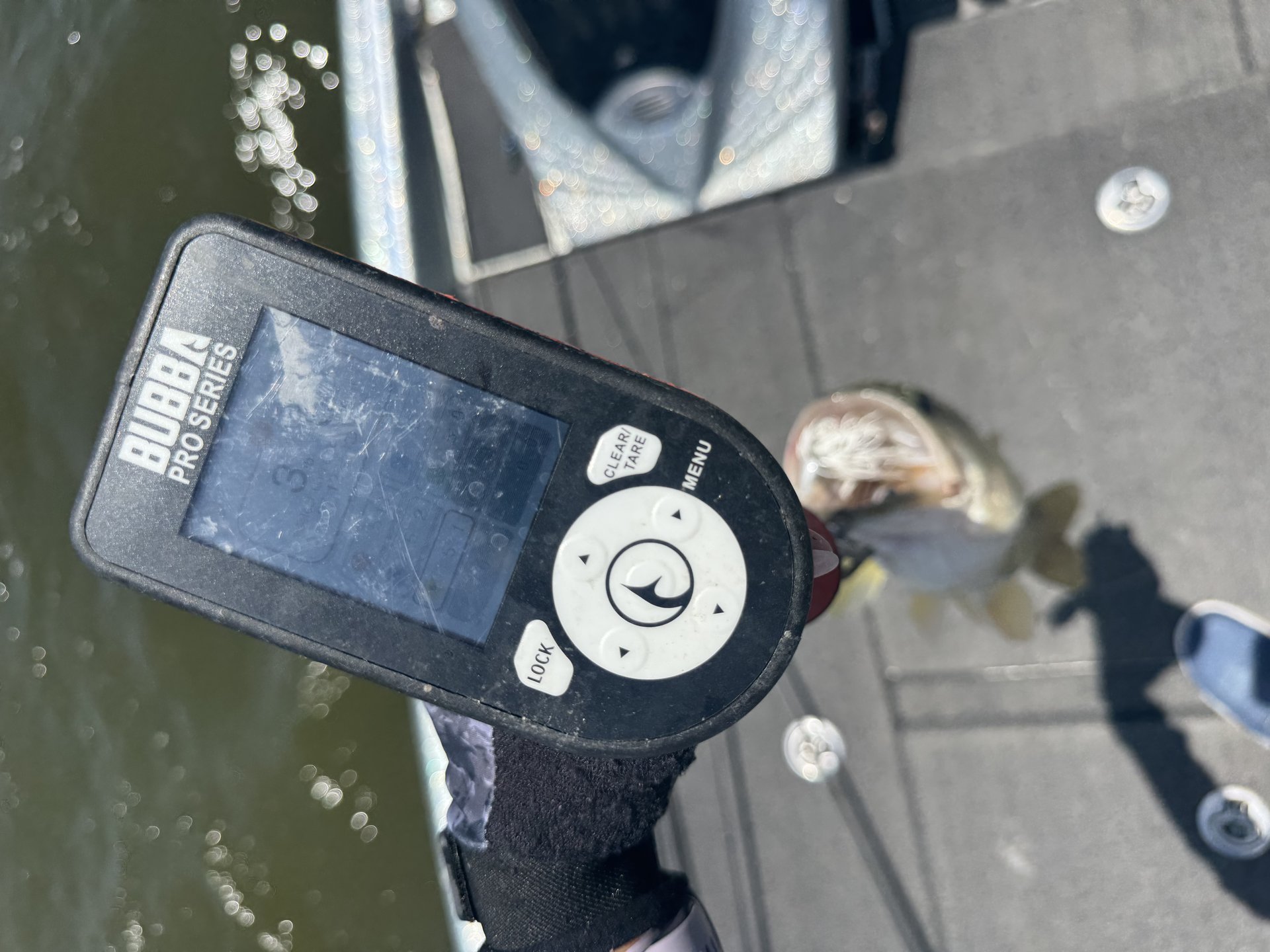 Largemouth Bass catch photo 2