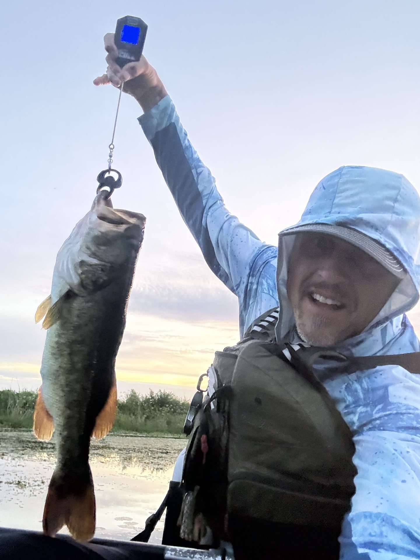 Largemouth Bass