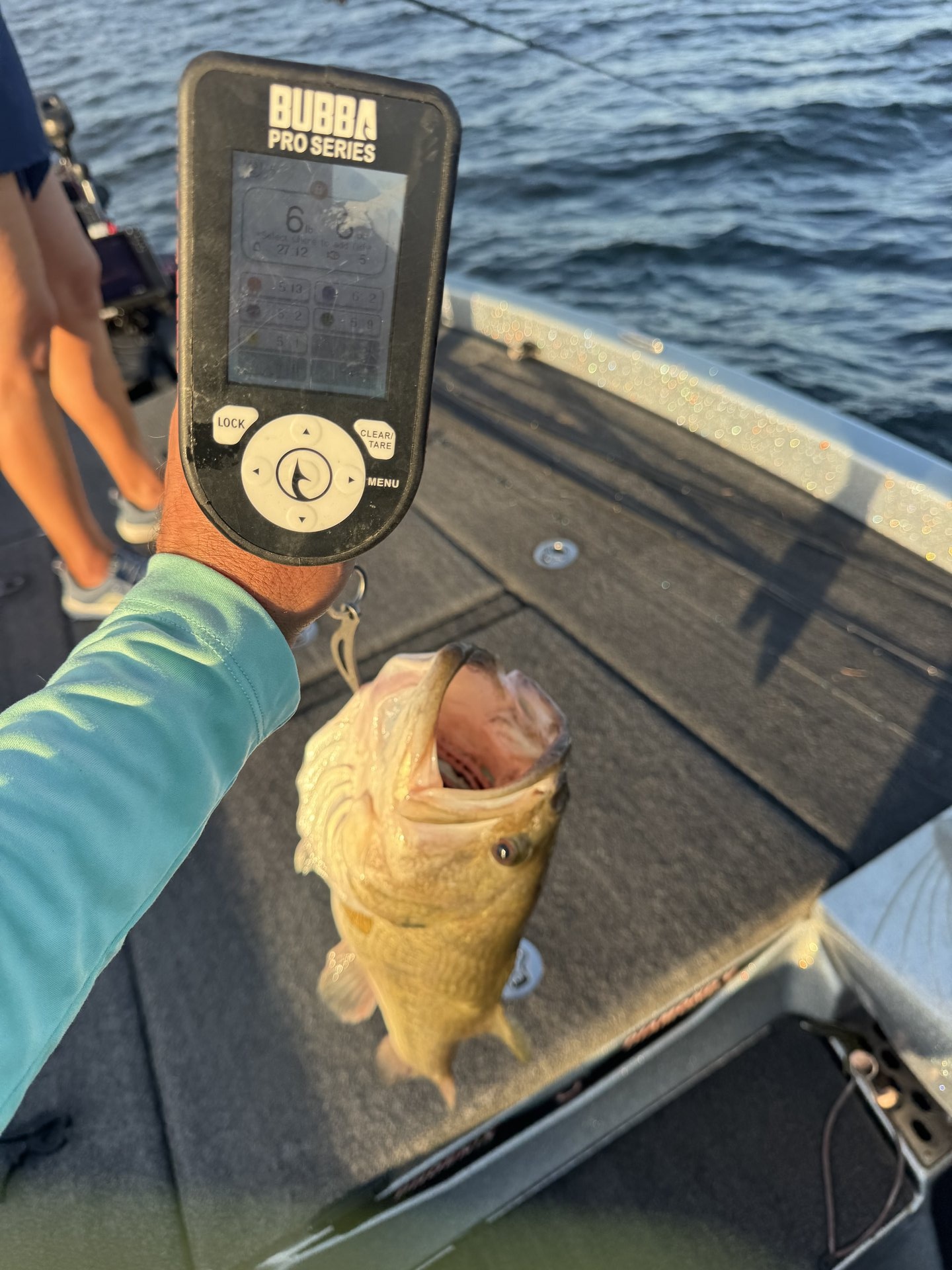 Largemouth Bass