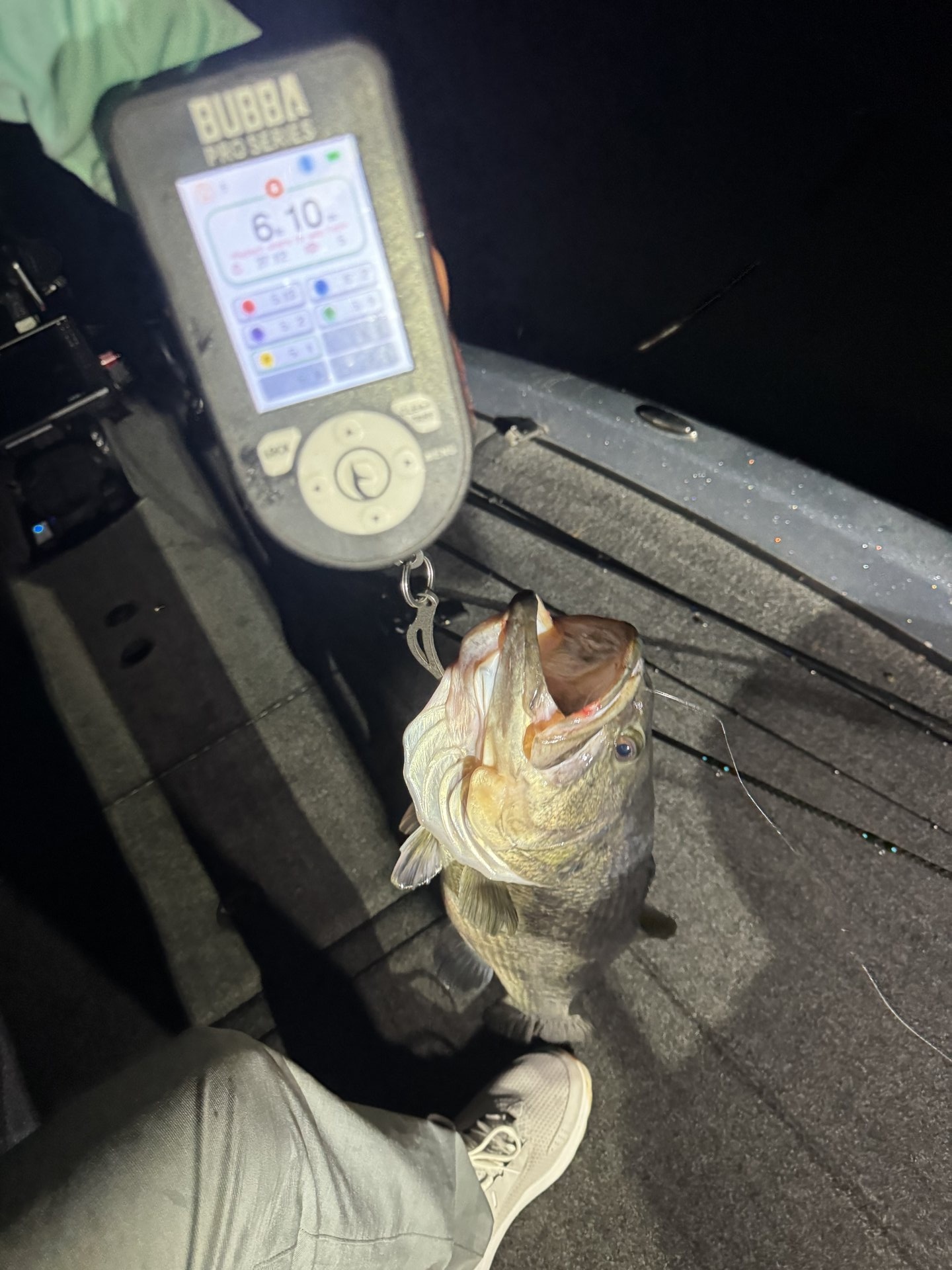 Largemouth Bass