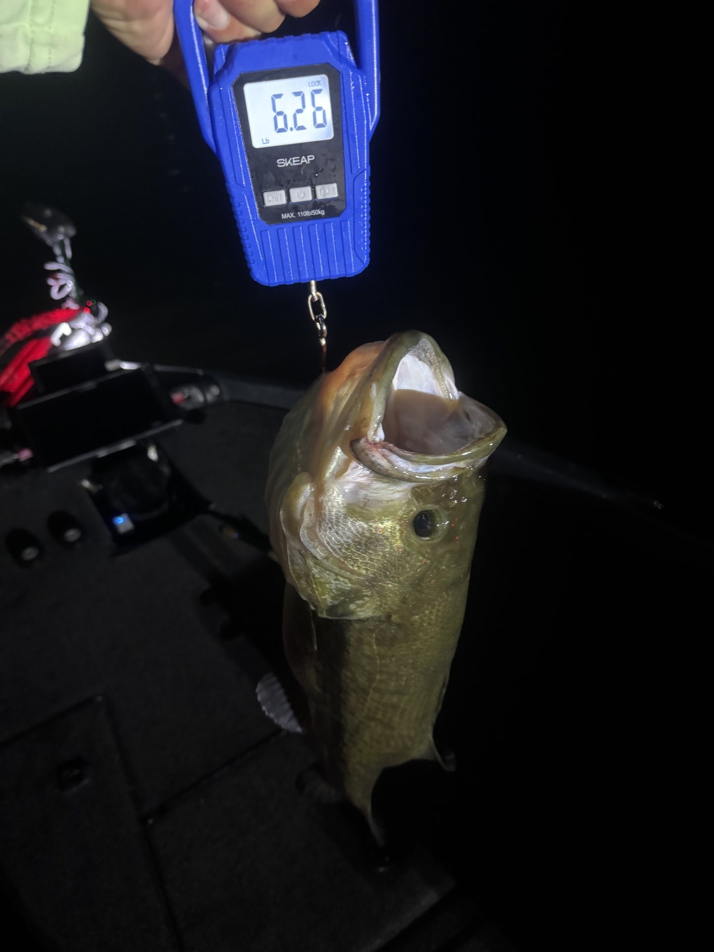 Largemouth Bass