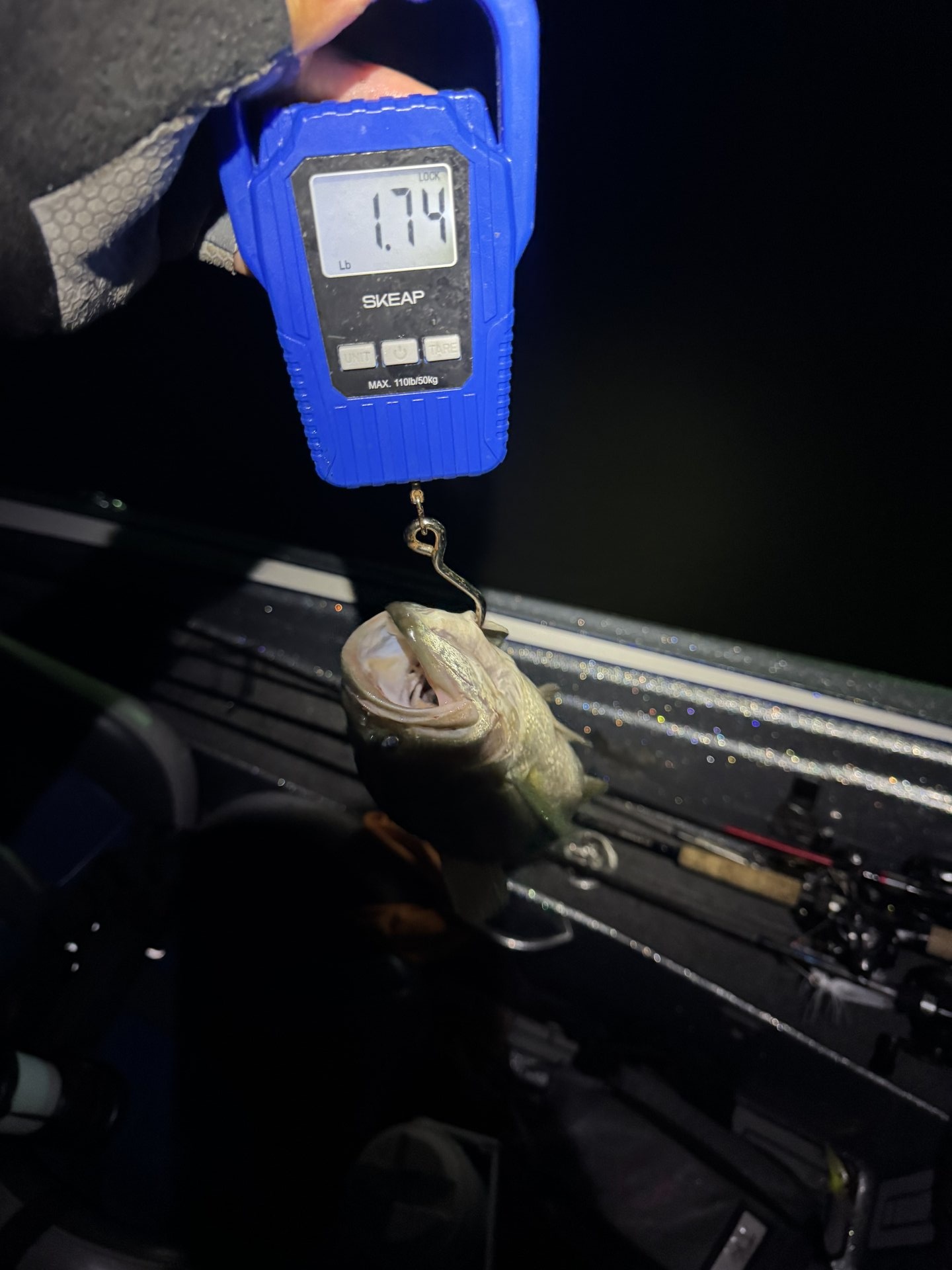 Rick Cruz · Fish on Scale