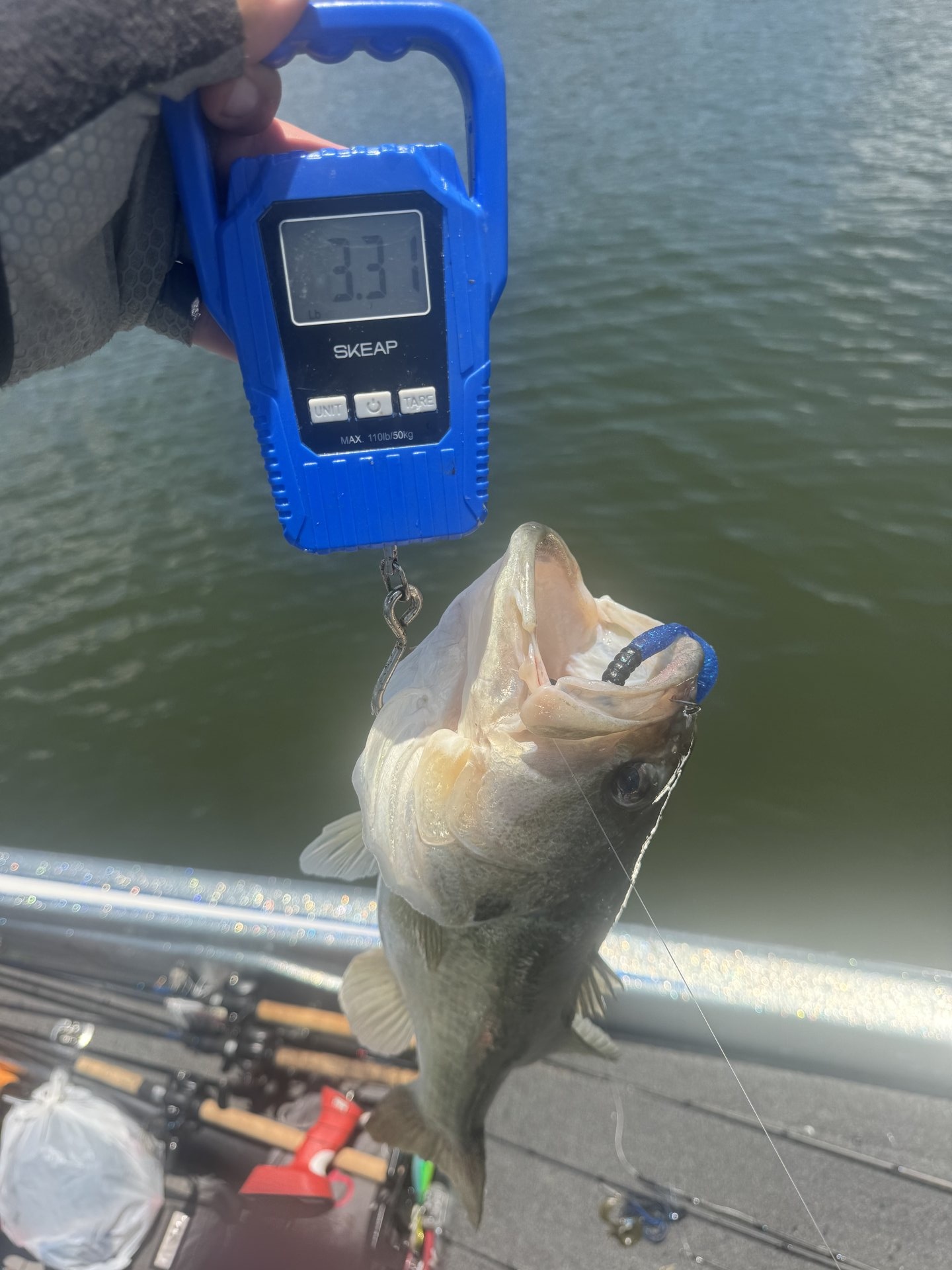 Rick Cruz · Fish on Scale