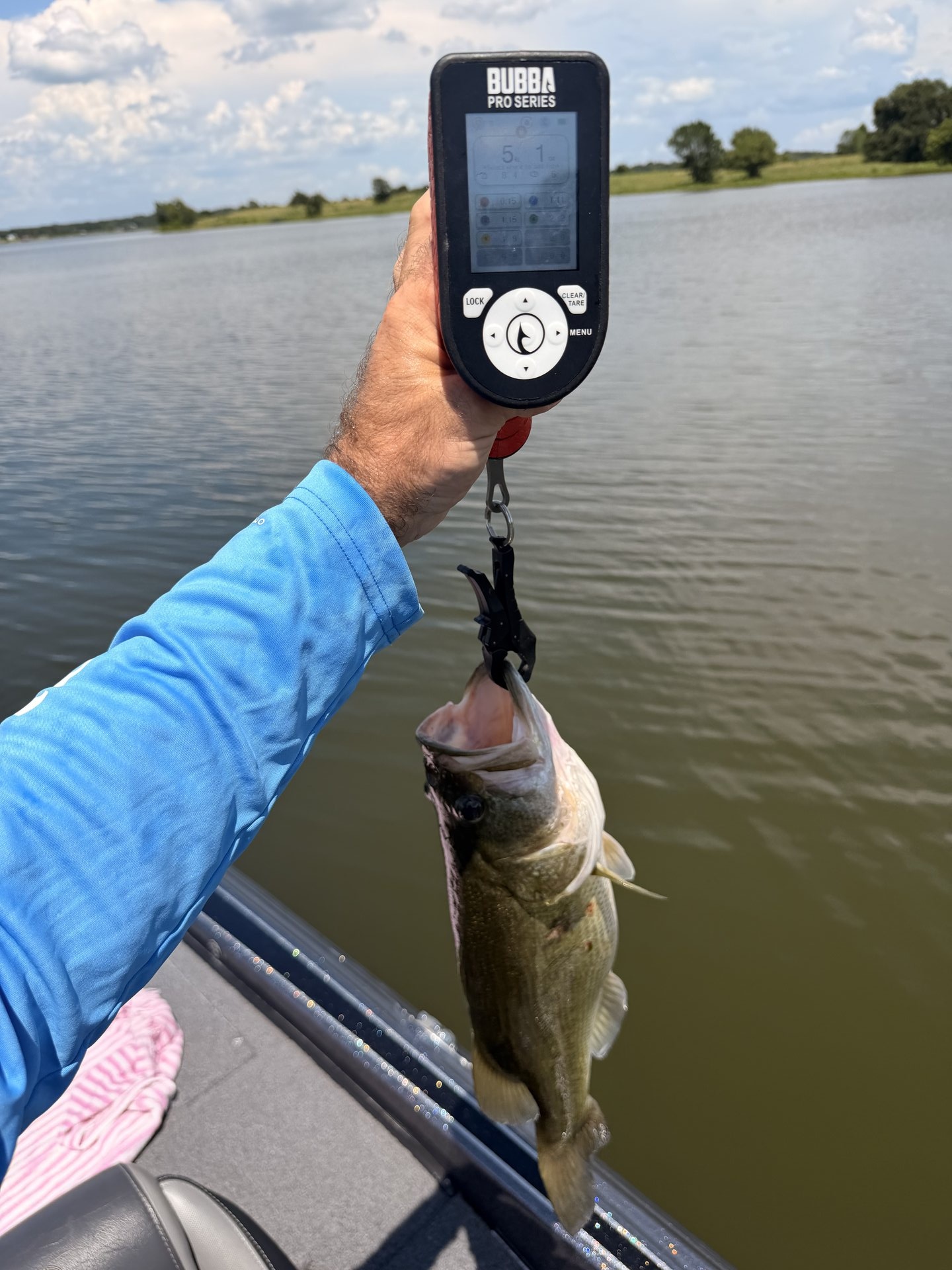 Largemouth Bass