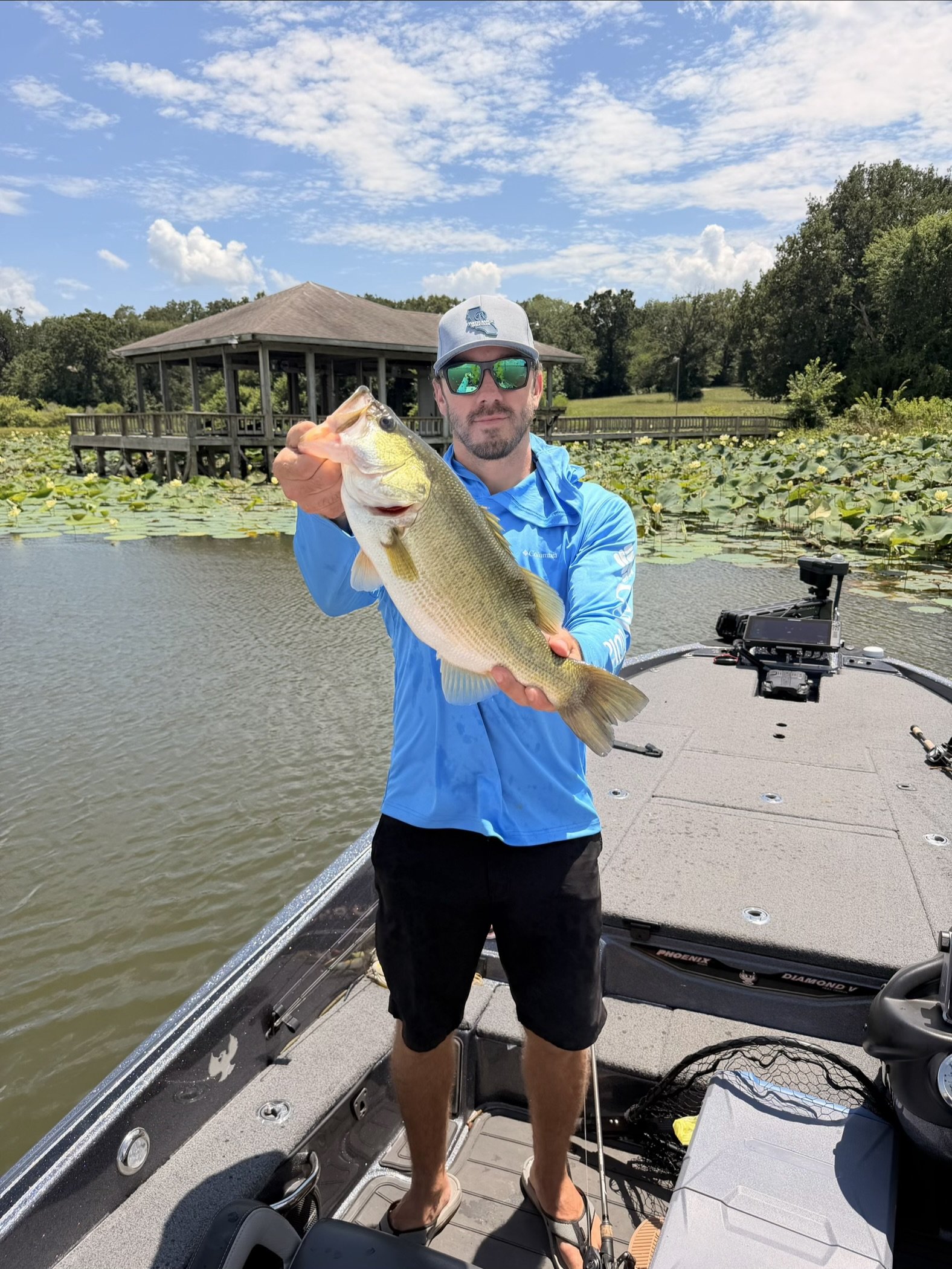 Largemouth Bass