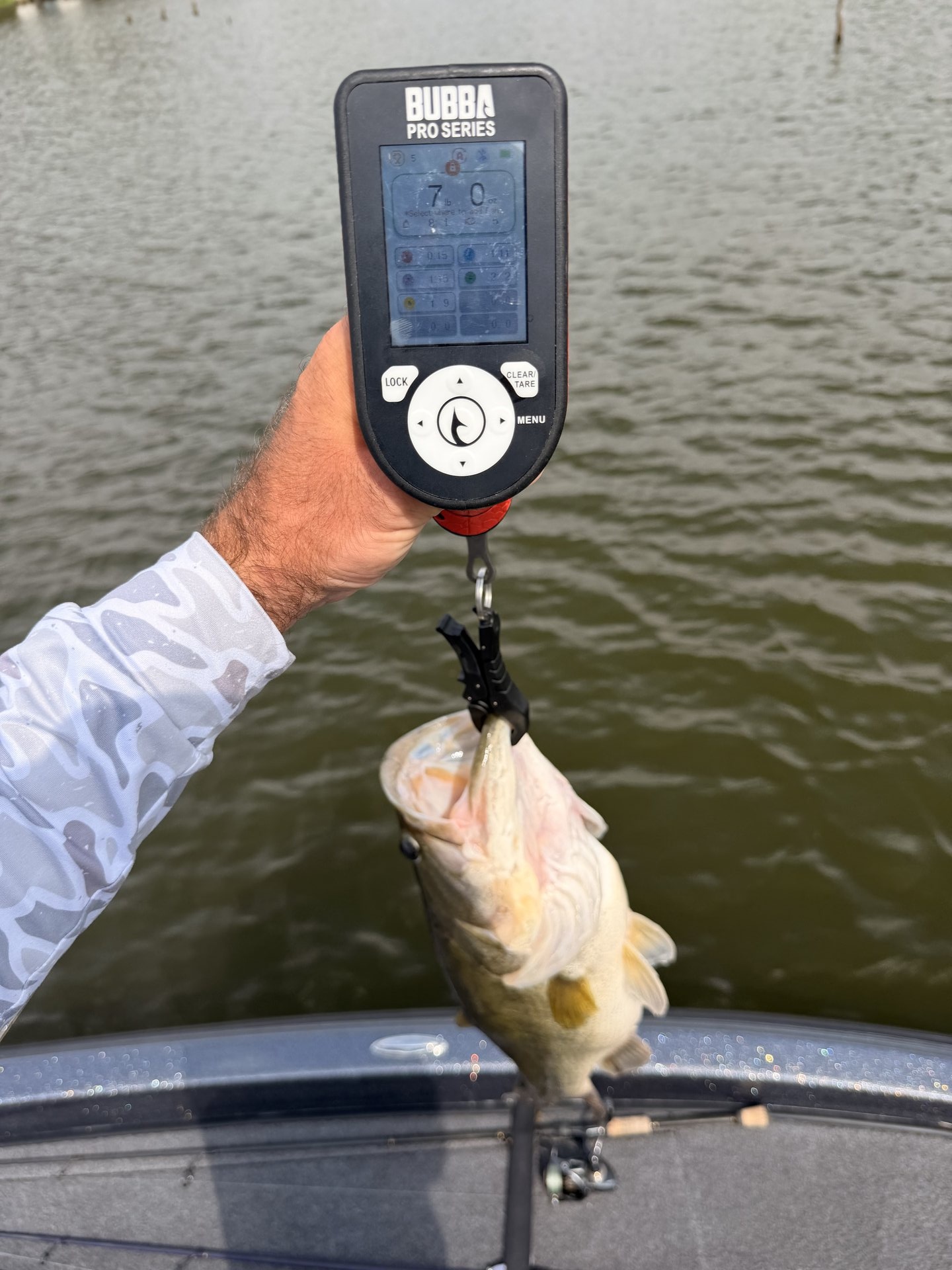 Largemouth Bass