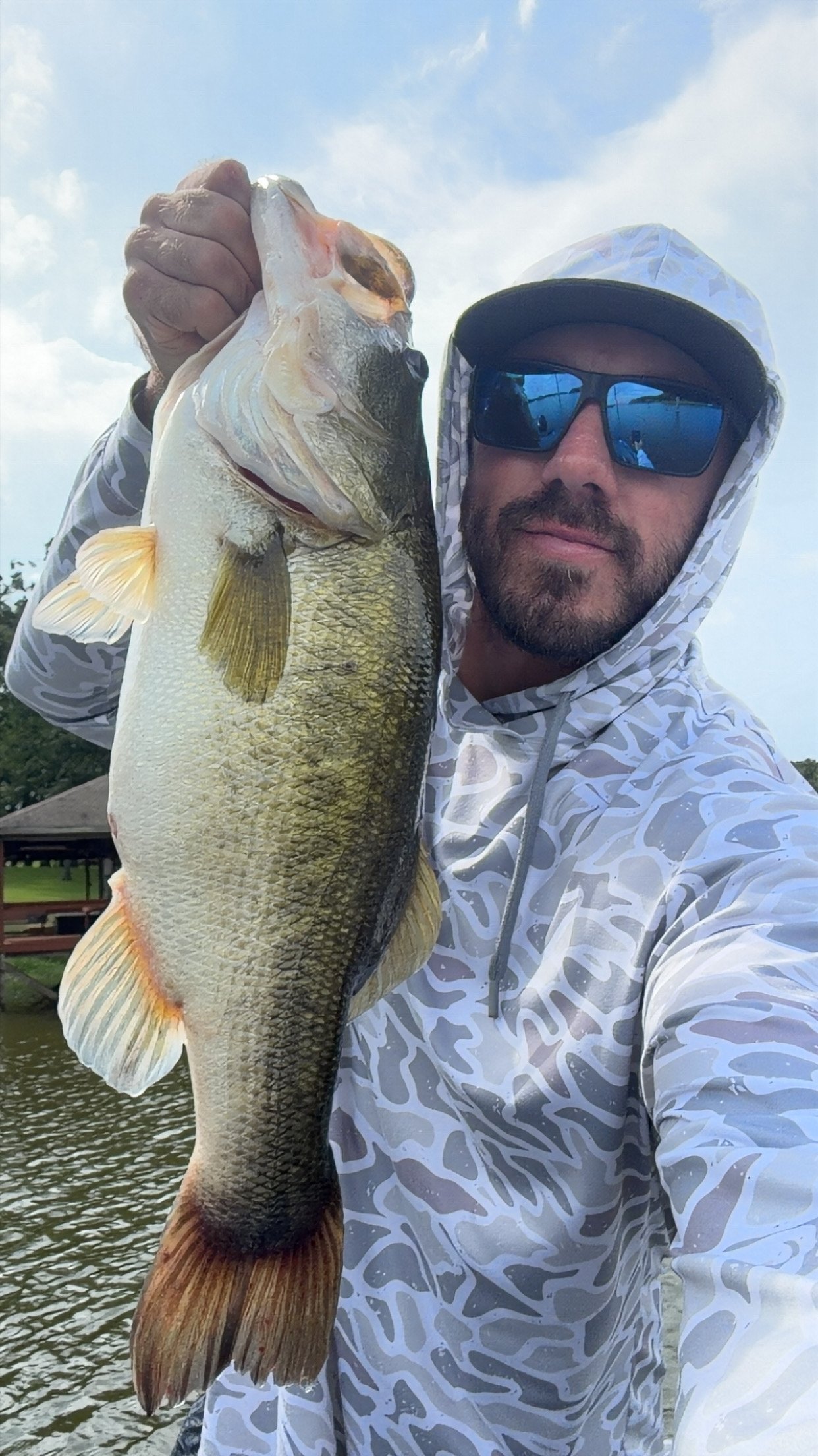 Largemouth Bass