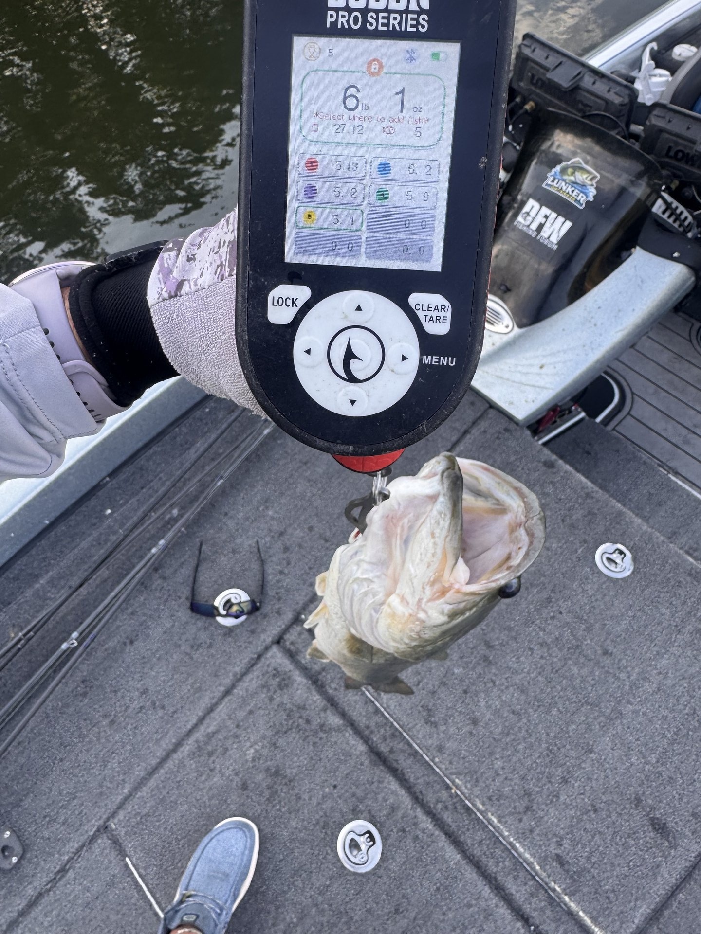 Largemouth Bass