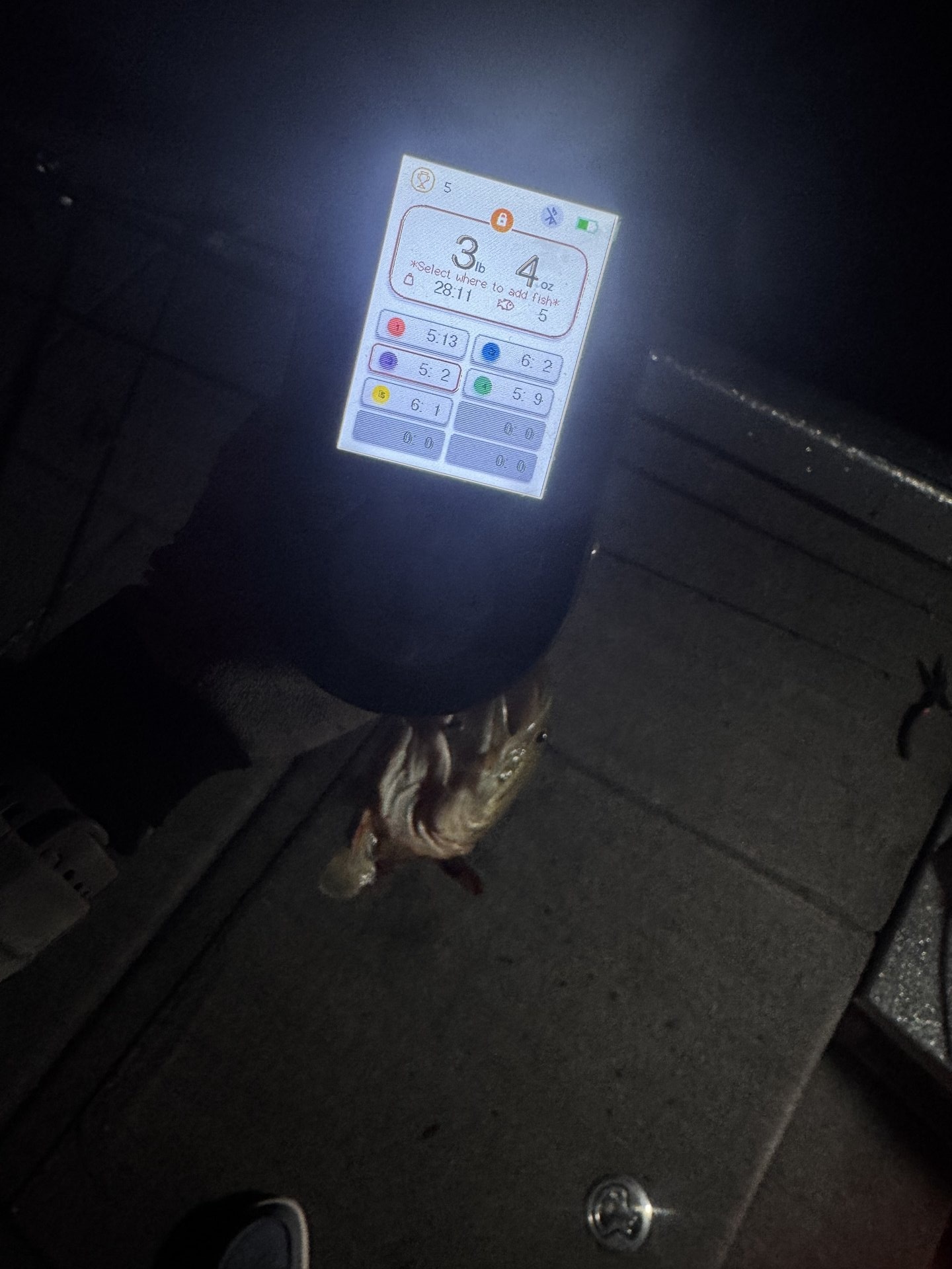 Tammy Kimmel · Selfie with Fish