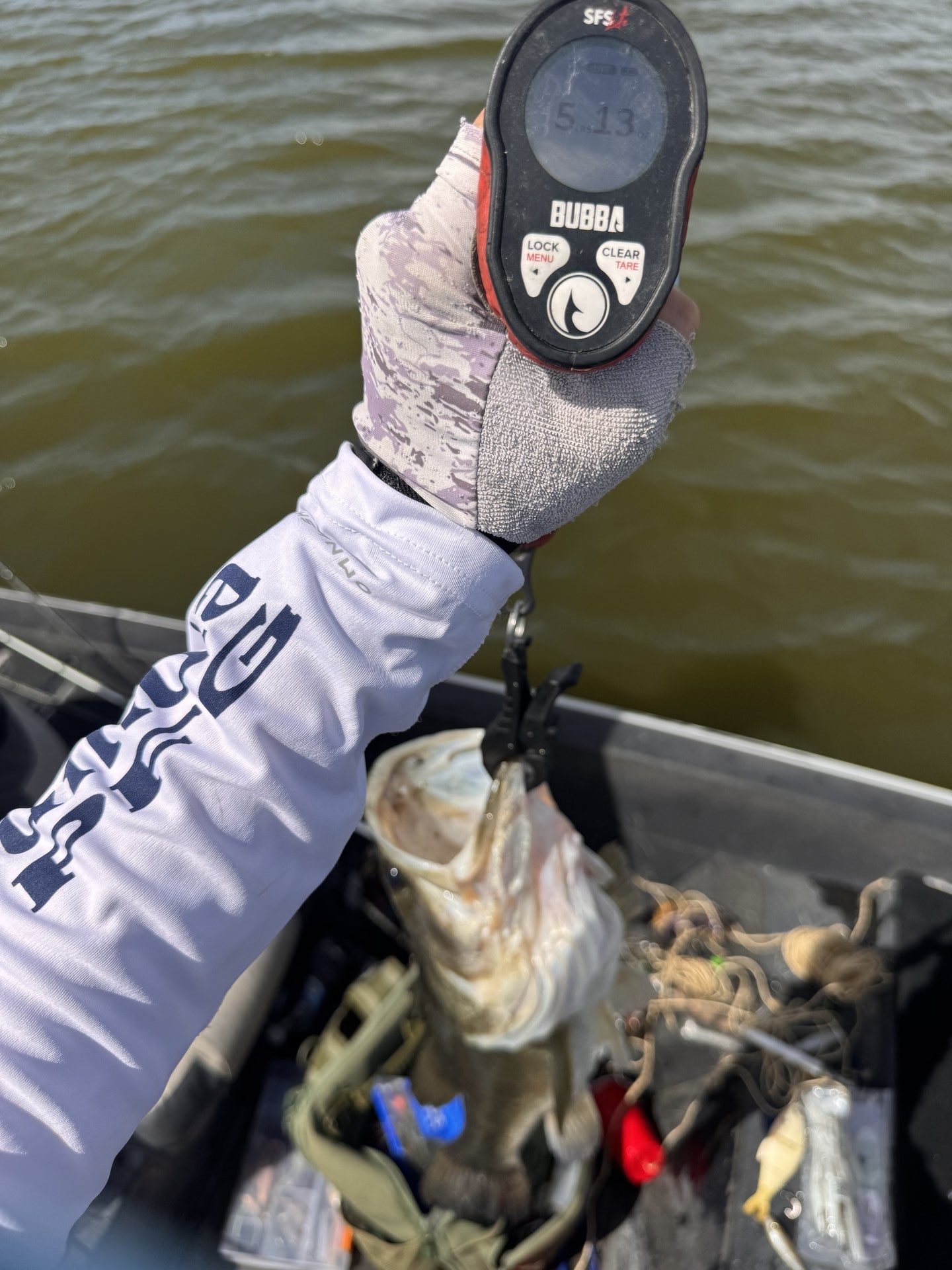 Largemouth Bass