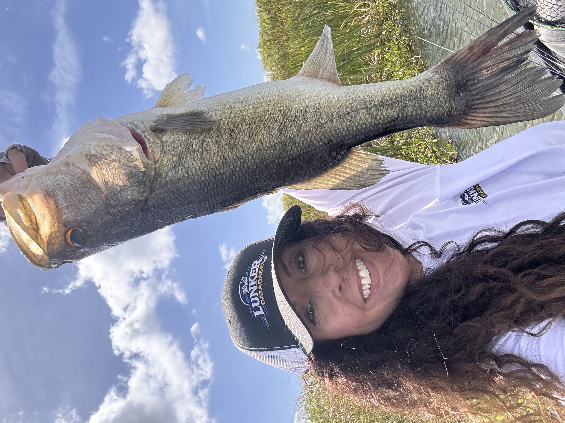 Largemouth Bass