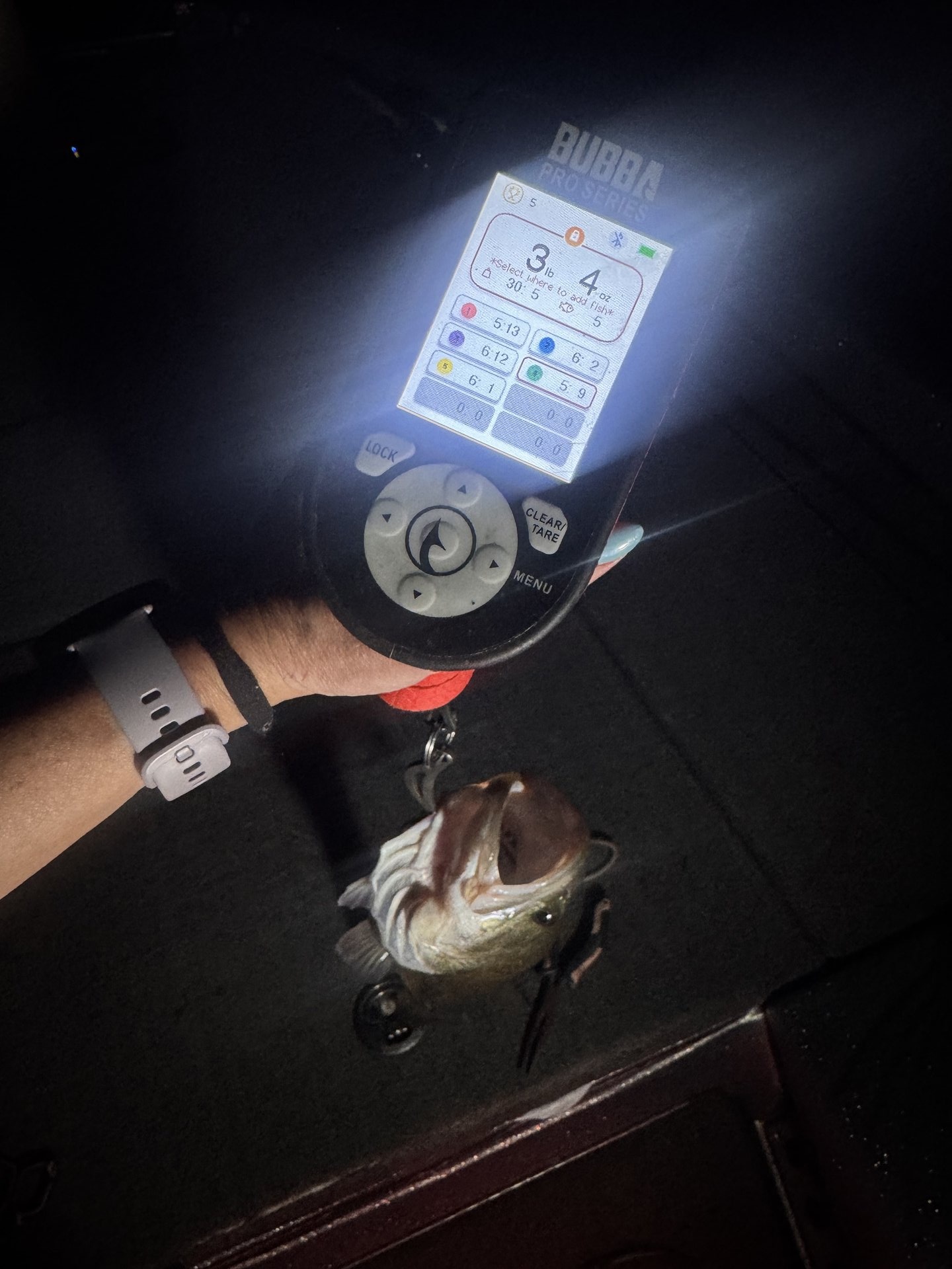 Largemouth Bass catch photo 2