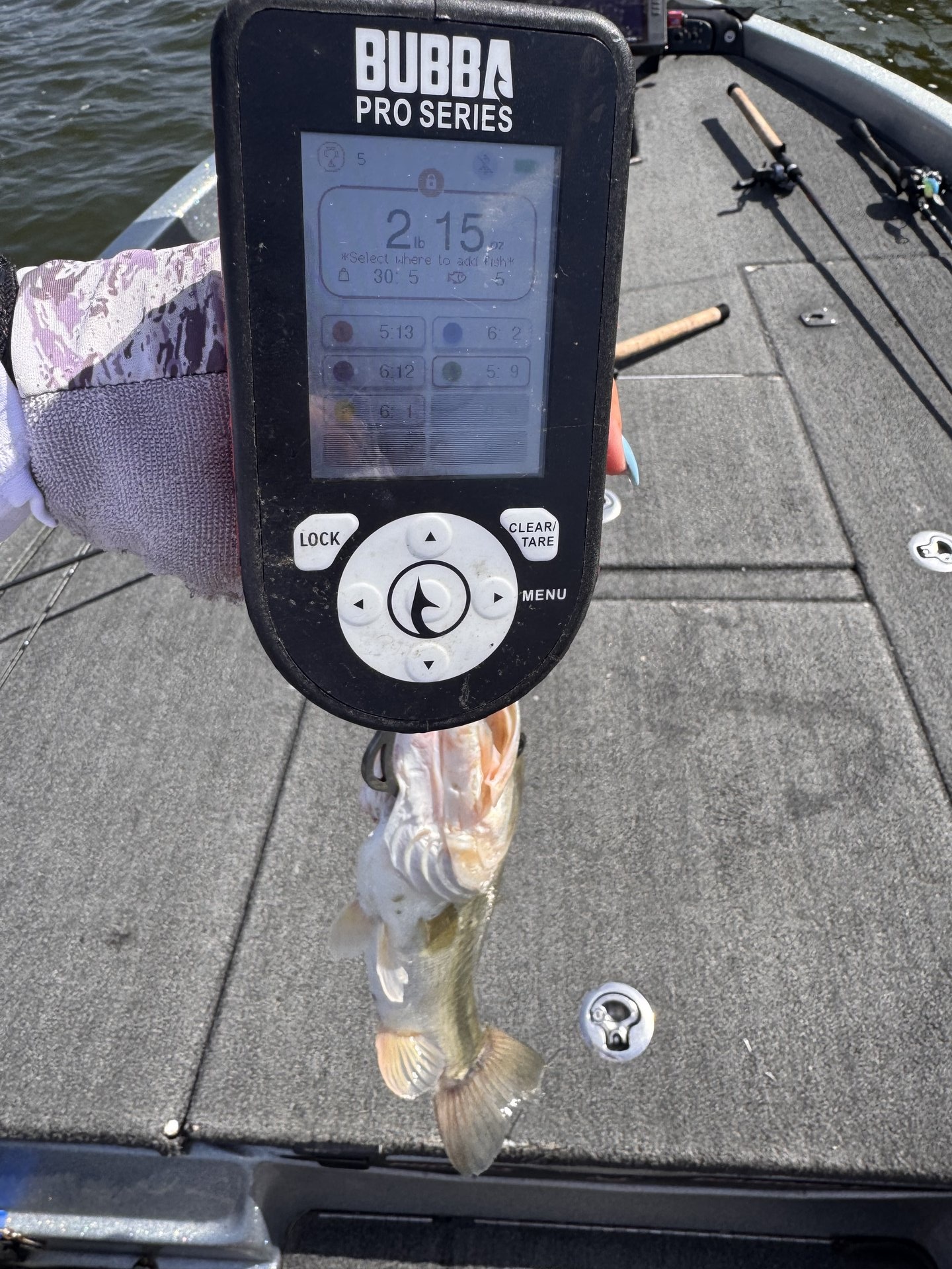 Largemouth Bass catch photo 2