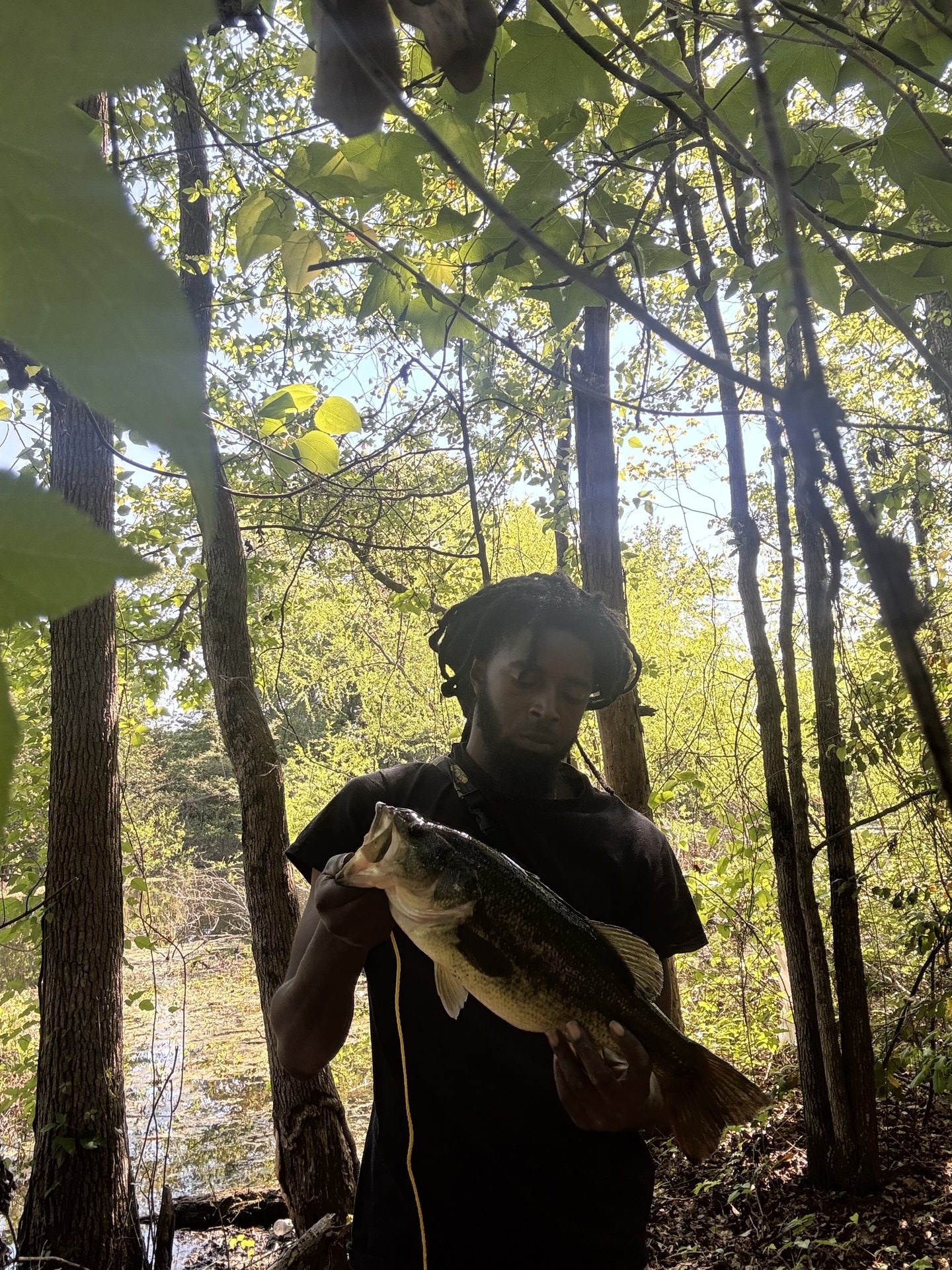 Largemouth Bass catch photo 1