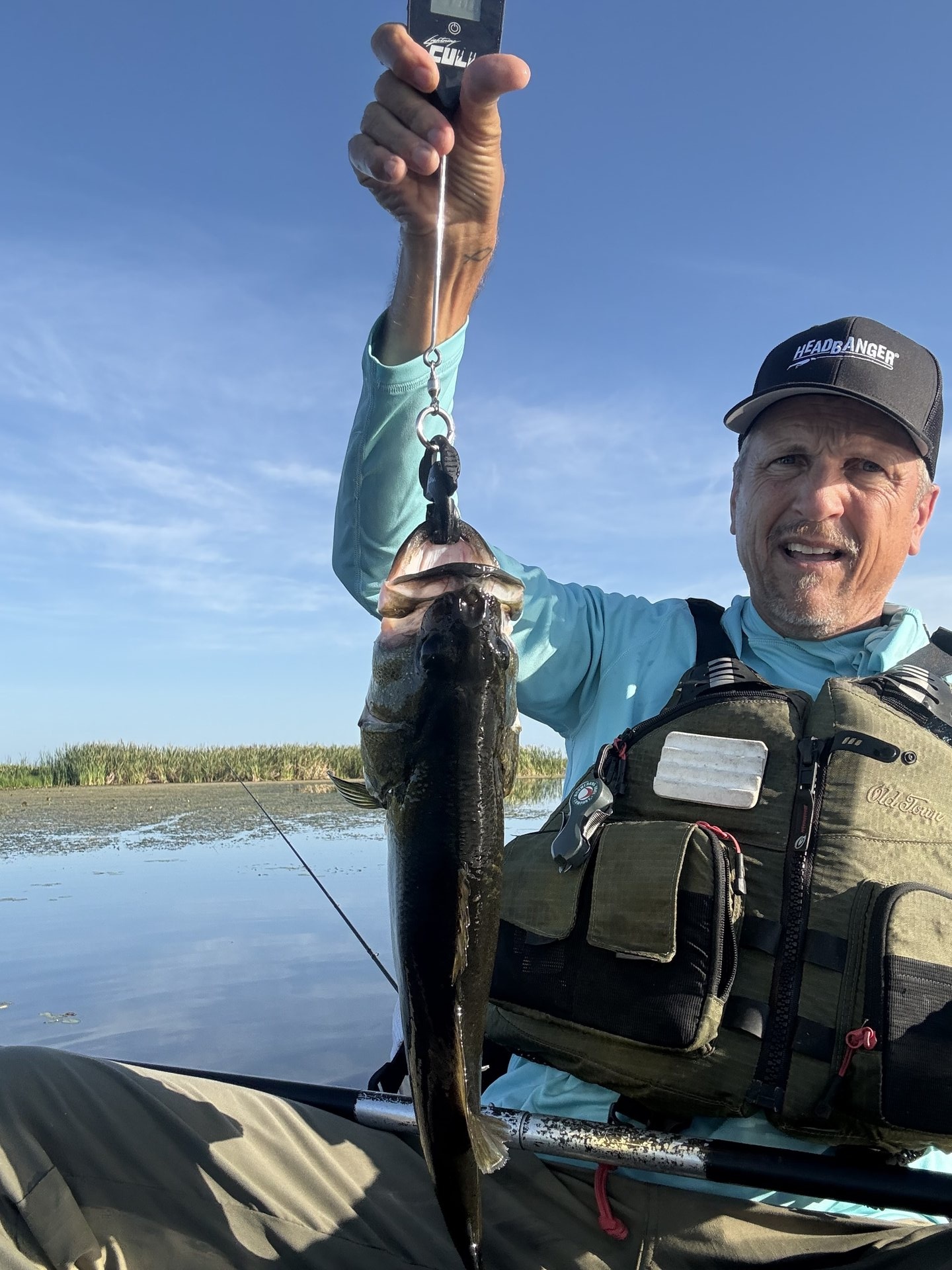 Dan Fay · Selfie with Fish