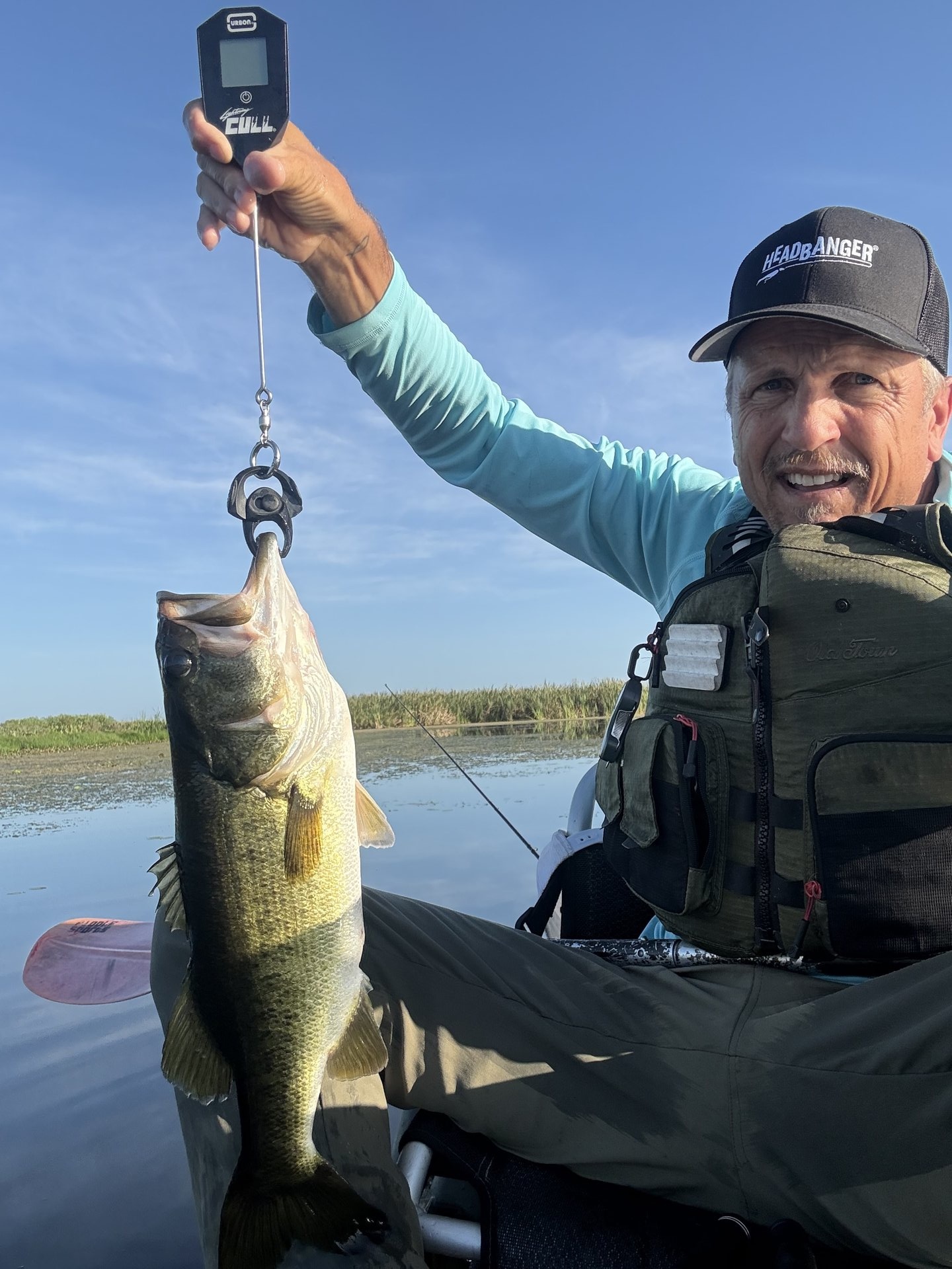 Dan Fay · Fish on Scale