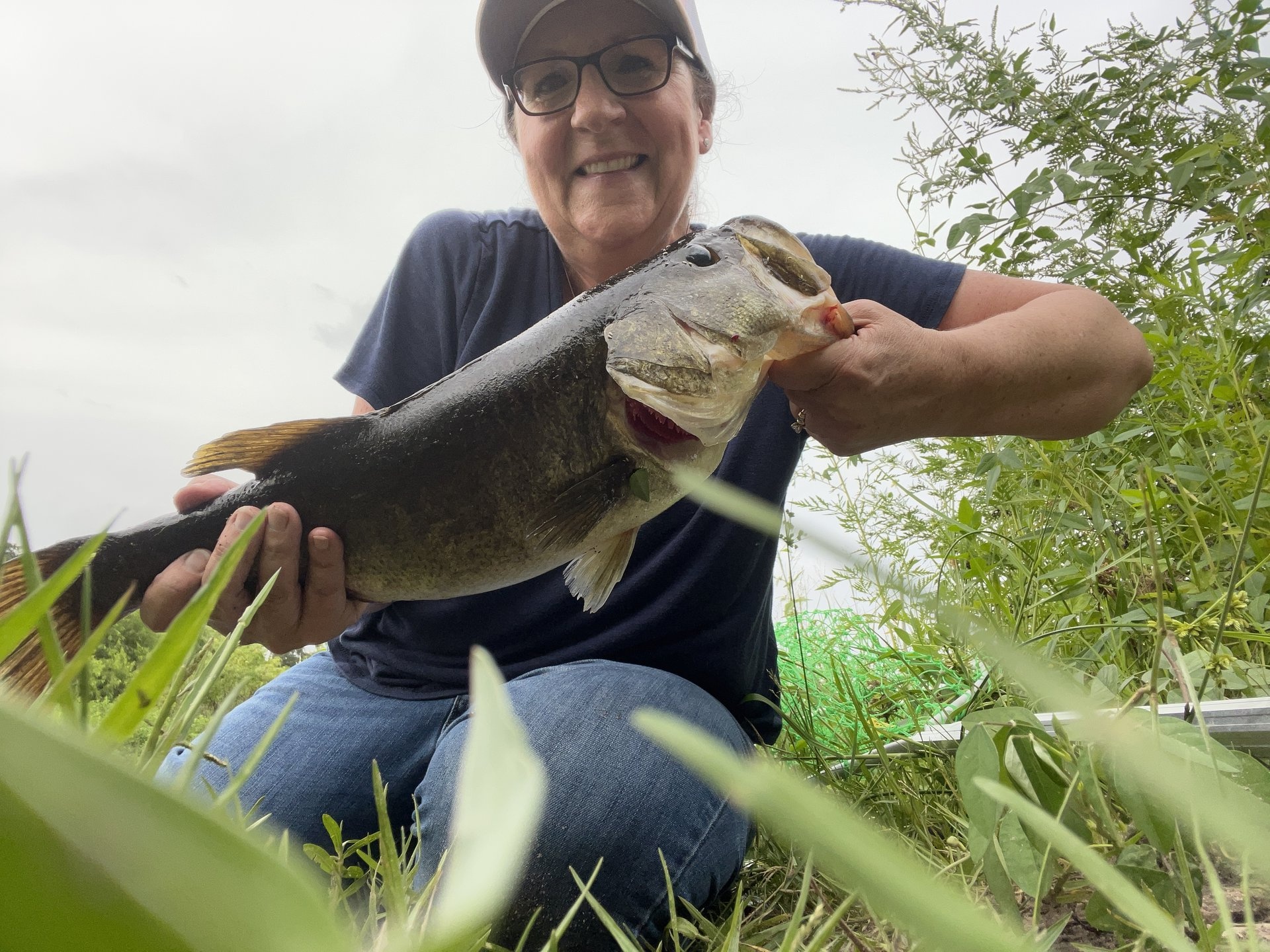 Largemouth Bass catch photo 1
