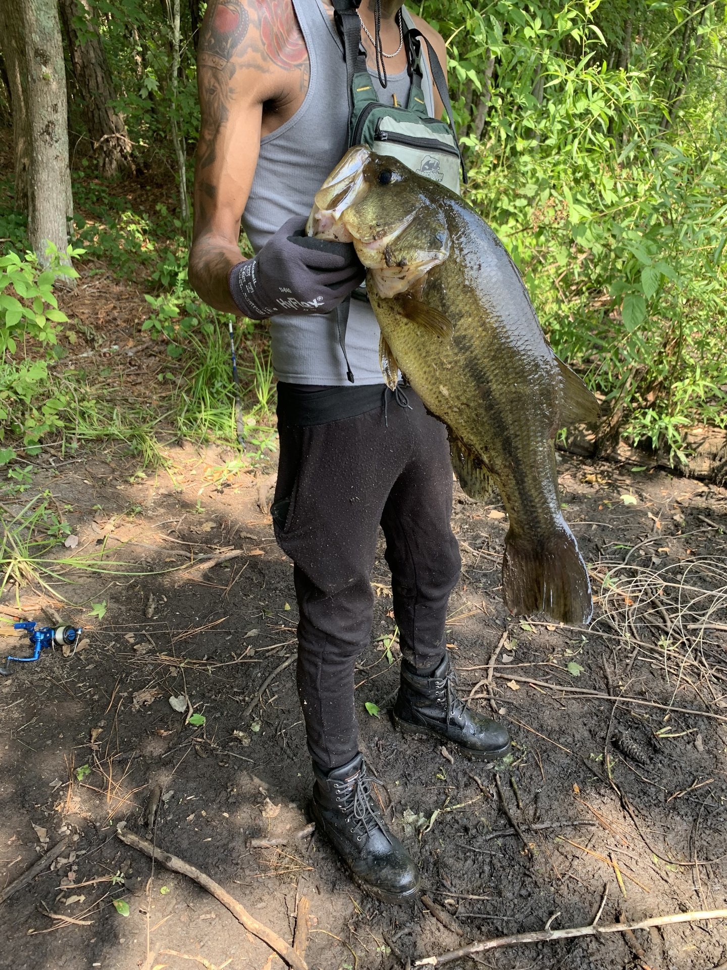 Largemouth Bass catch photo 1