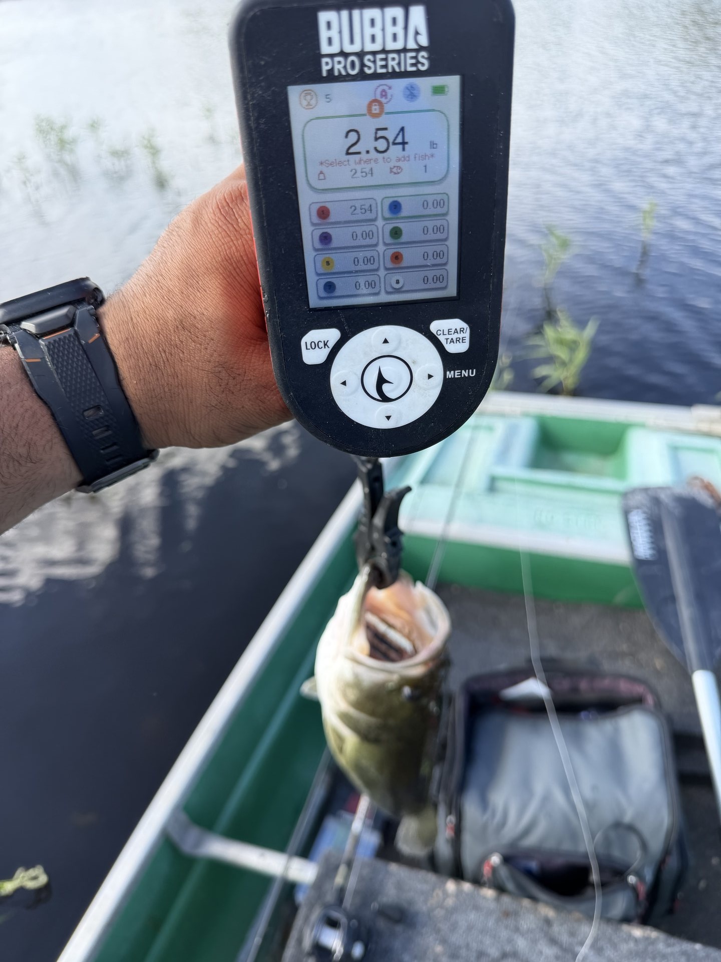 Largemouth Bass catch photo 2
