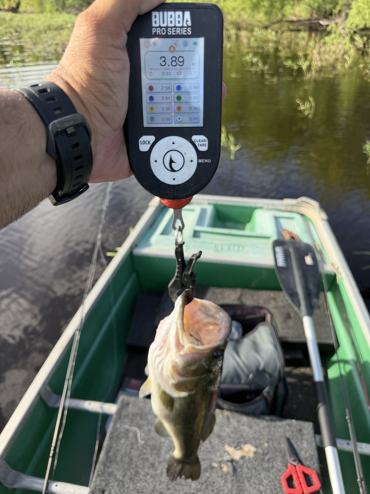 Largemouth Bass catch photo 2