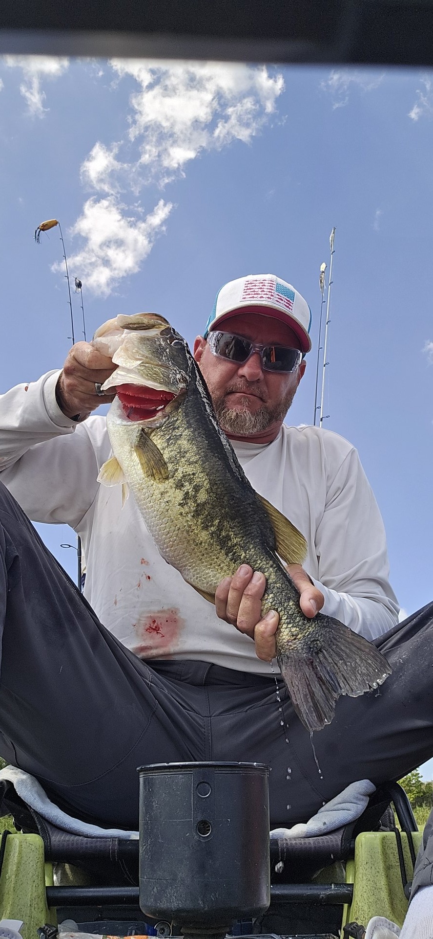 Largemouth Bass
