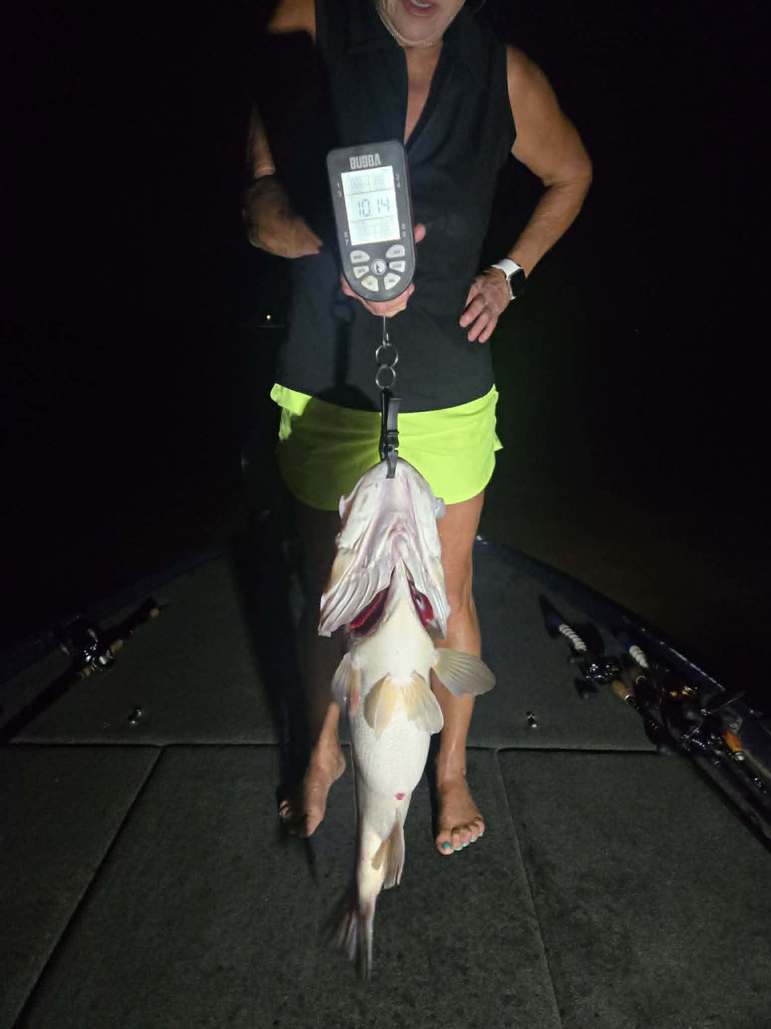 Largemouth Bass