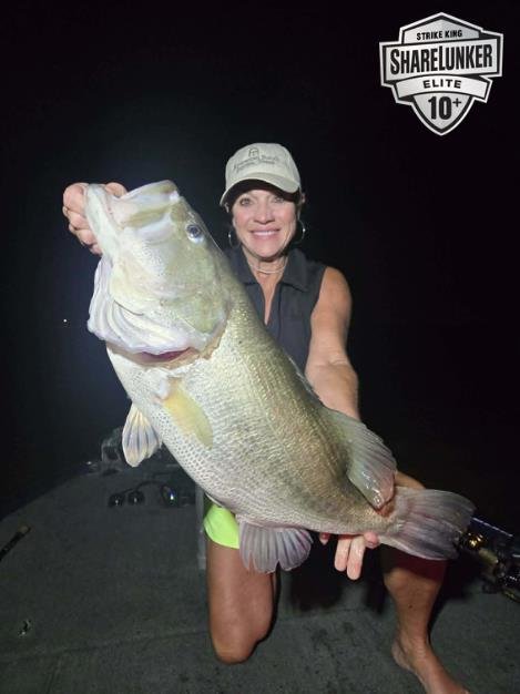 Largemouth Bass