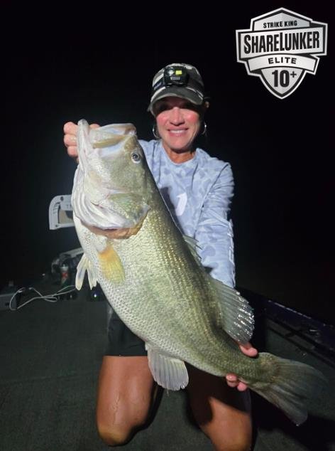 Largemouth Bass