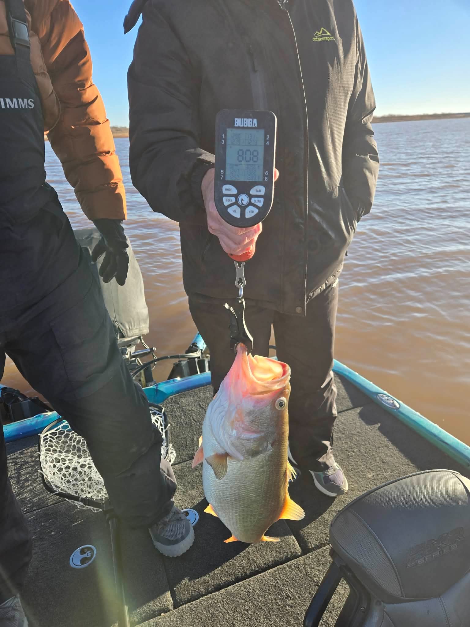 Largemouth Bass