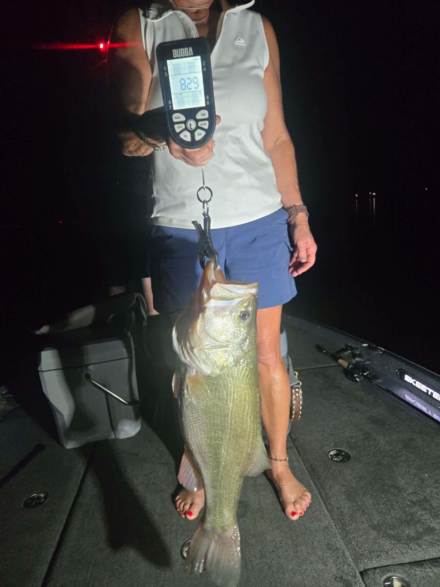 Largemouth Bass