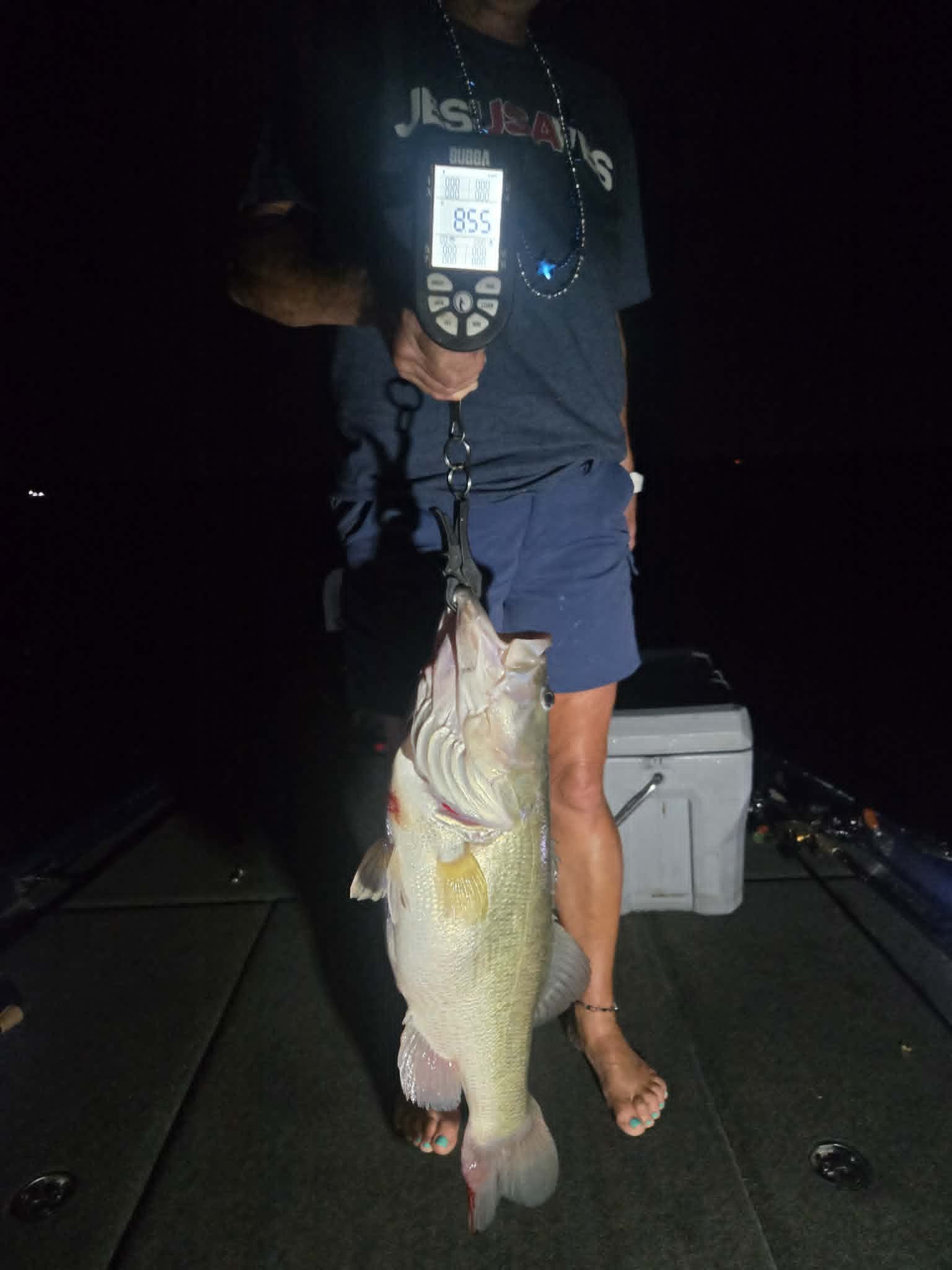 Largemouth Bass