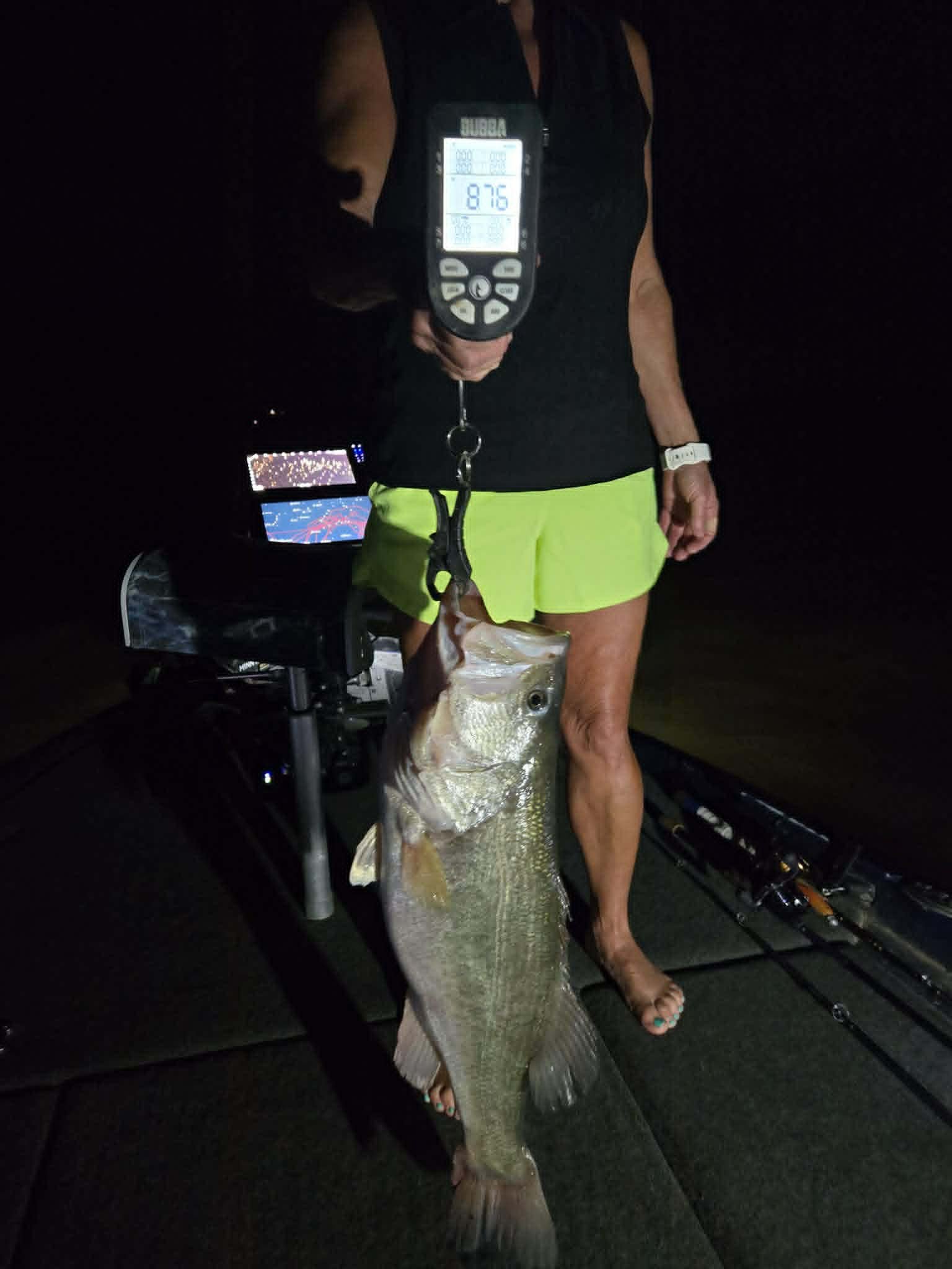 Largemouth Bass
