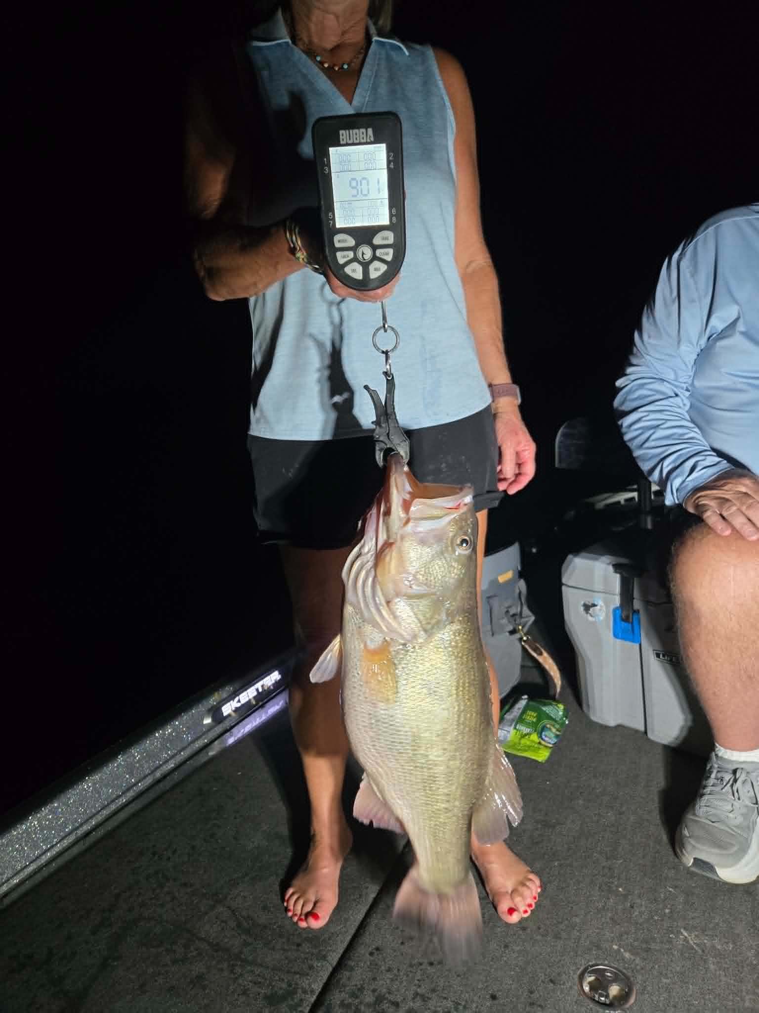 Largemouth Bass