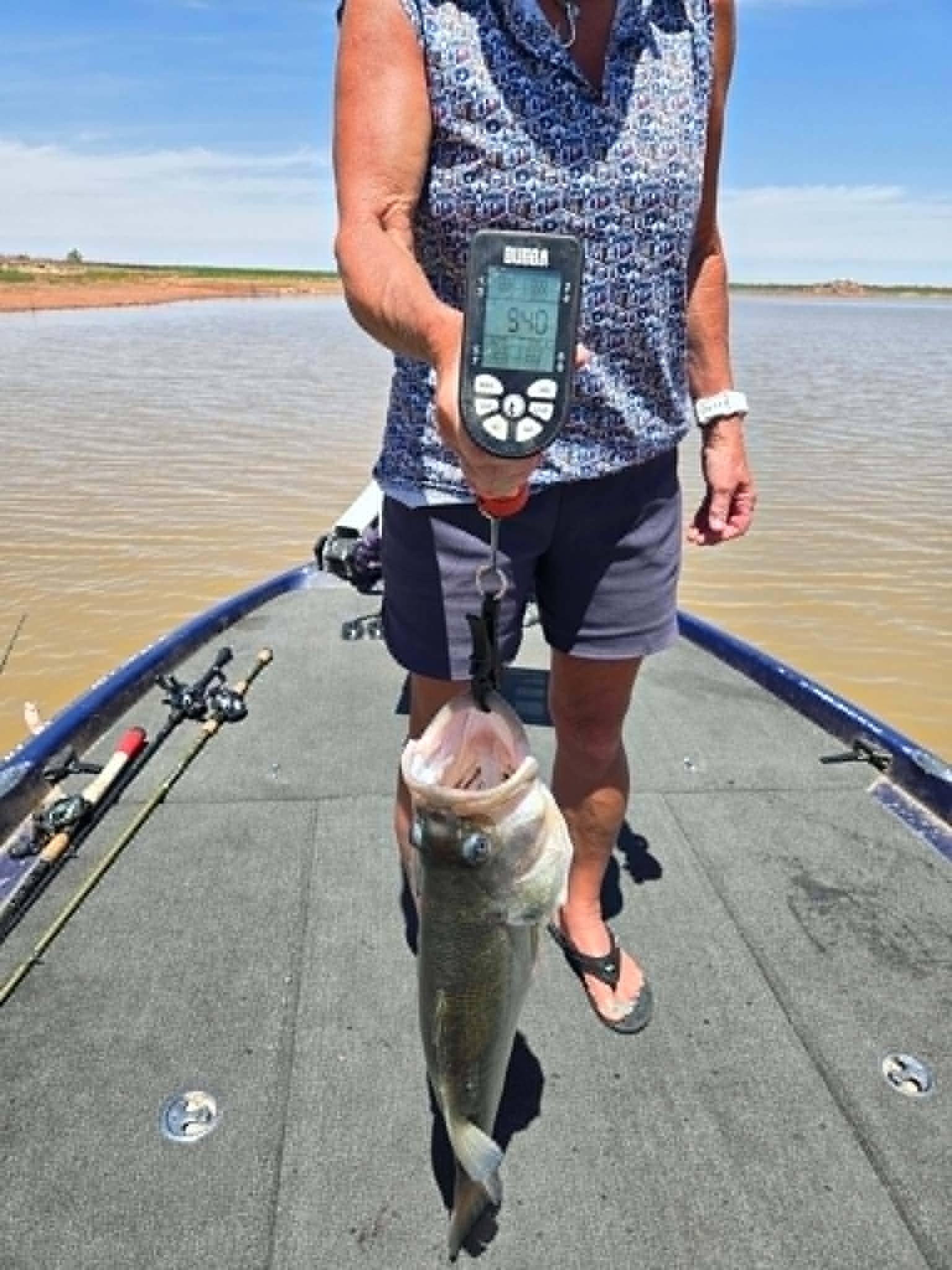 Largemouth Bass
