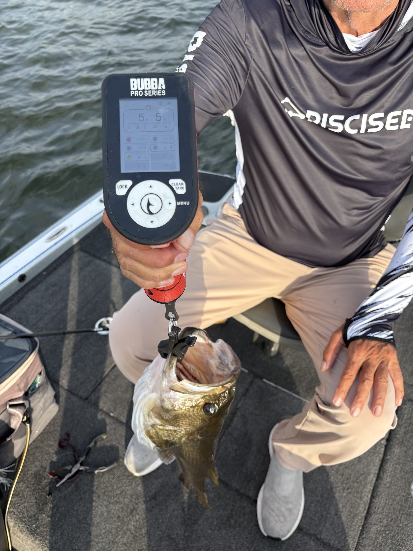 Largemouth Bass
