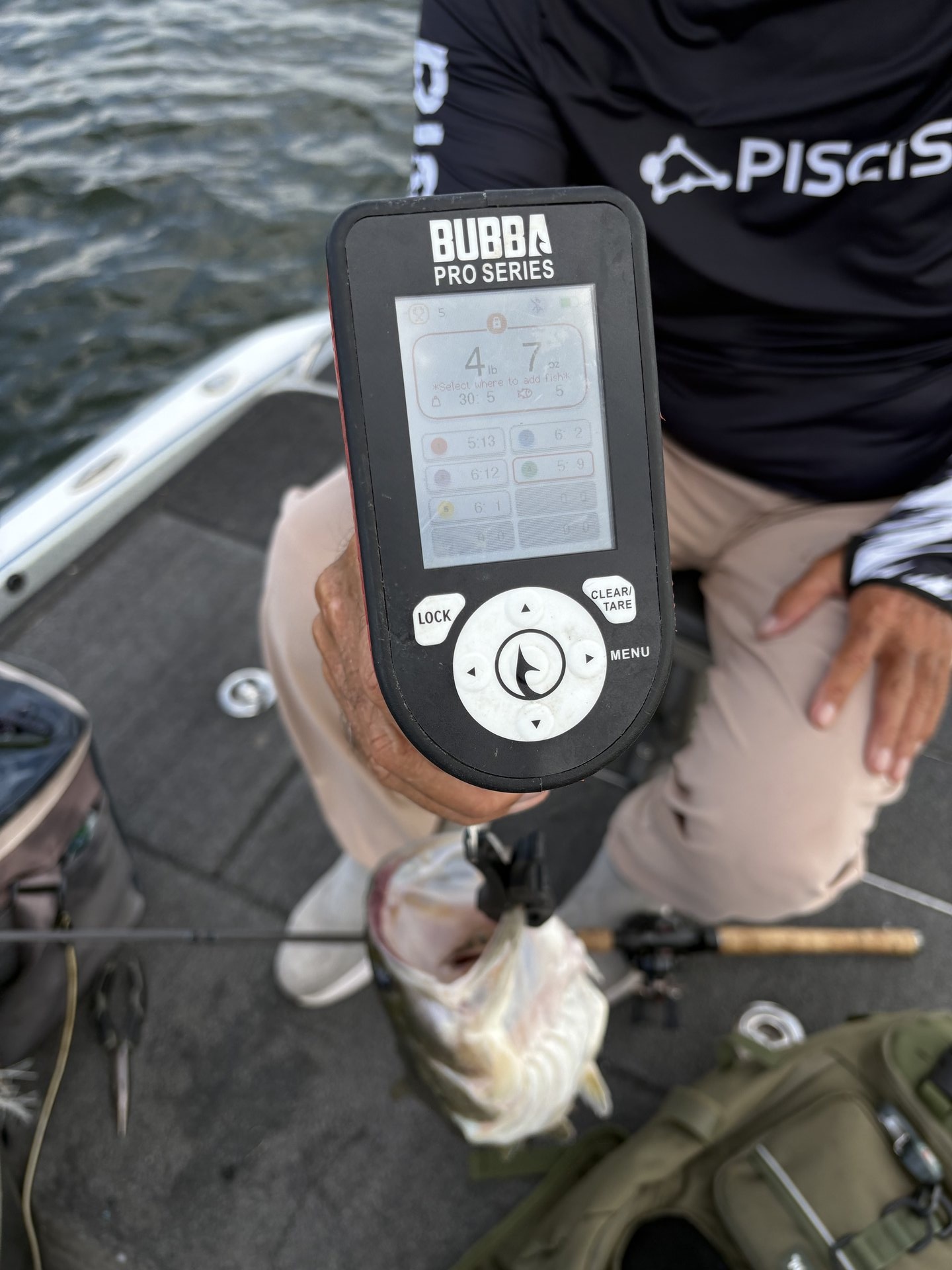 Largemouth Bass